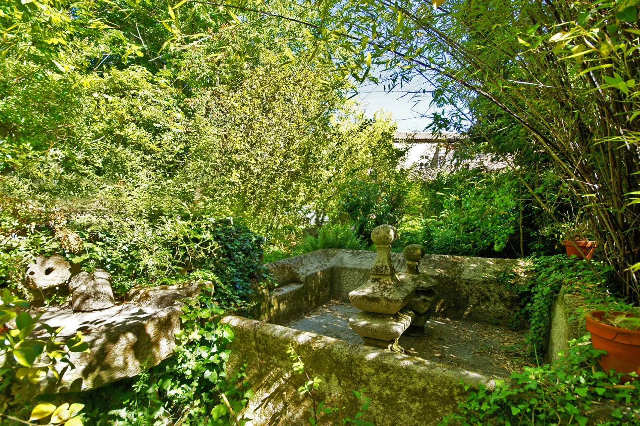 Garden in Casa Grande De Trives