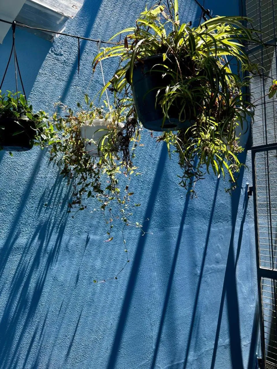 Decorative detail in La Rose B&B