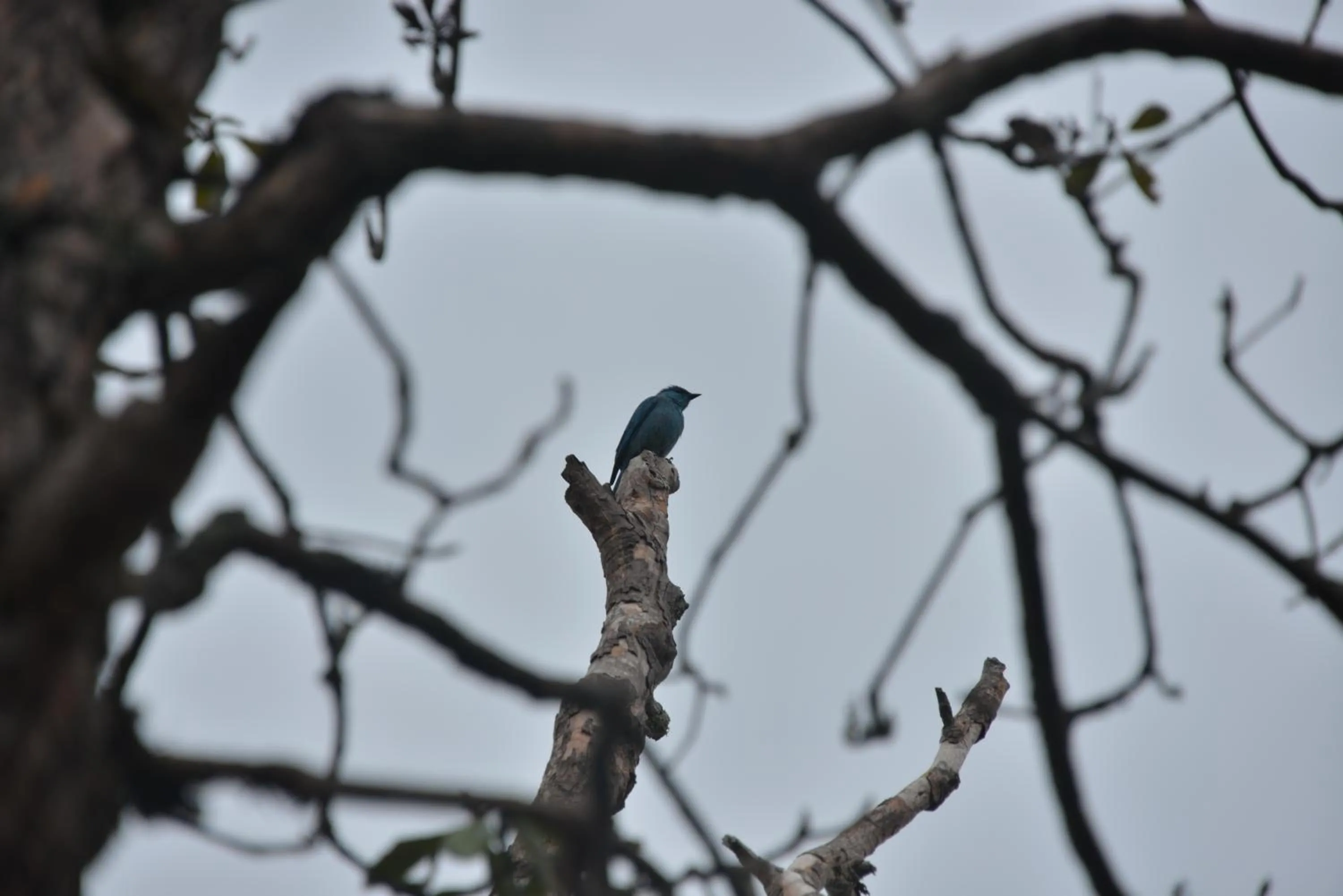 Activities in The Hermitage Kanatal