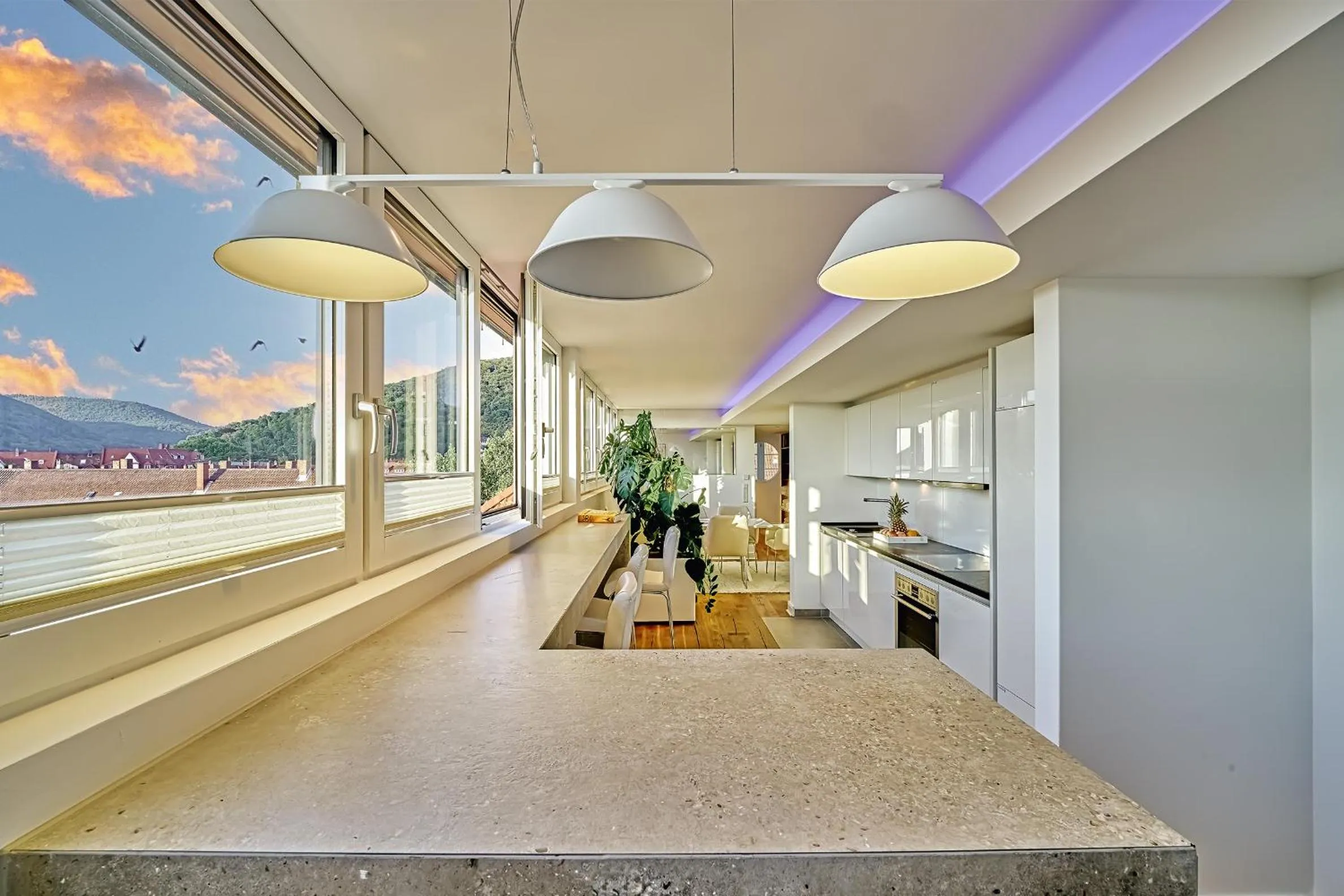 kitchen in Boutique Suites and Residences Heidelberg- Alte Zigarrenmanufaktur