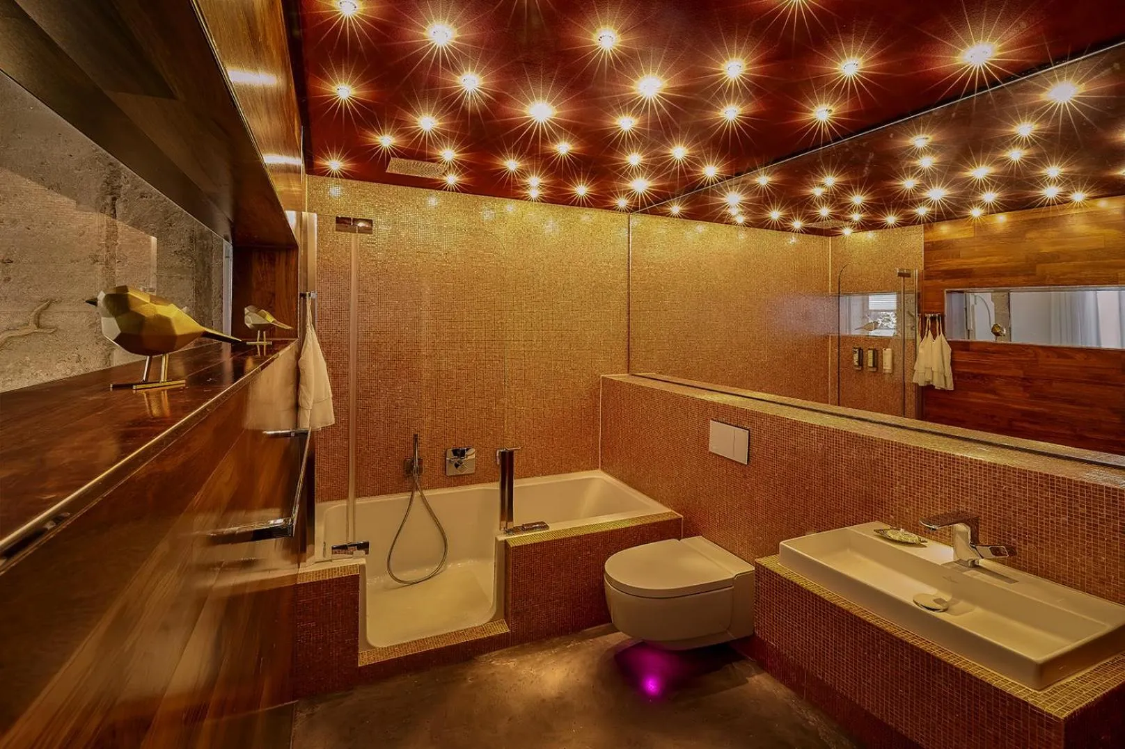 Bathroom in Boutique Suites and Residences Heidelberg- Alte Zigarrenmanufaktur