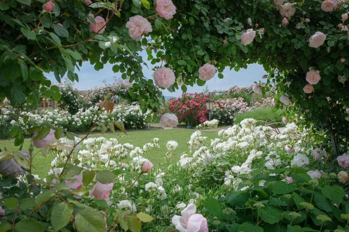 Il Fienile di Assisi