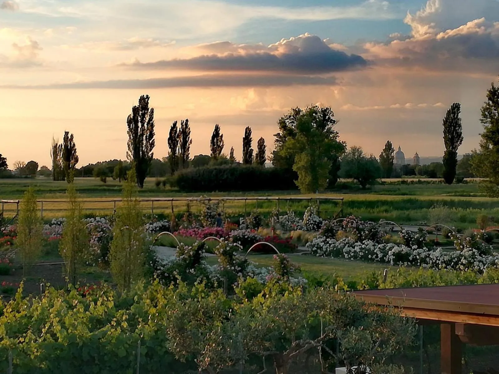 Garden in Il Fienile di Assisi