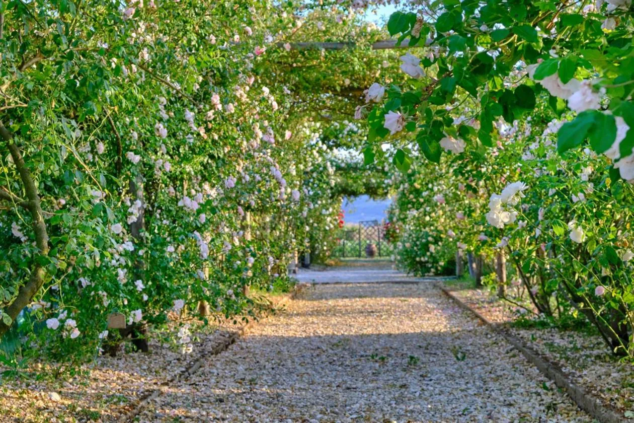 Il Fienile di Assisi