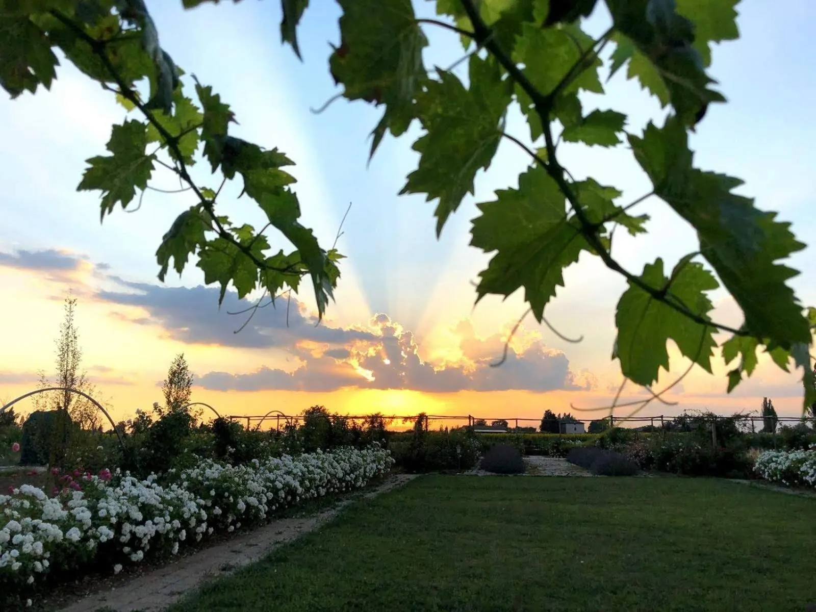 Garden in Il Fienile di Assisi