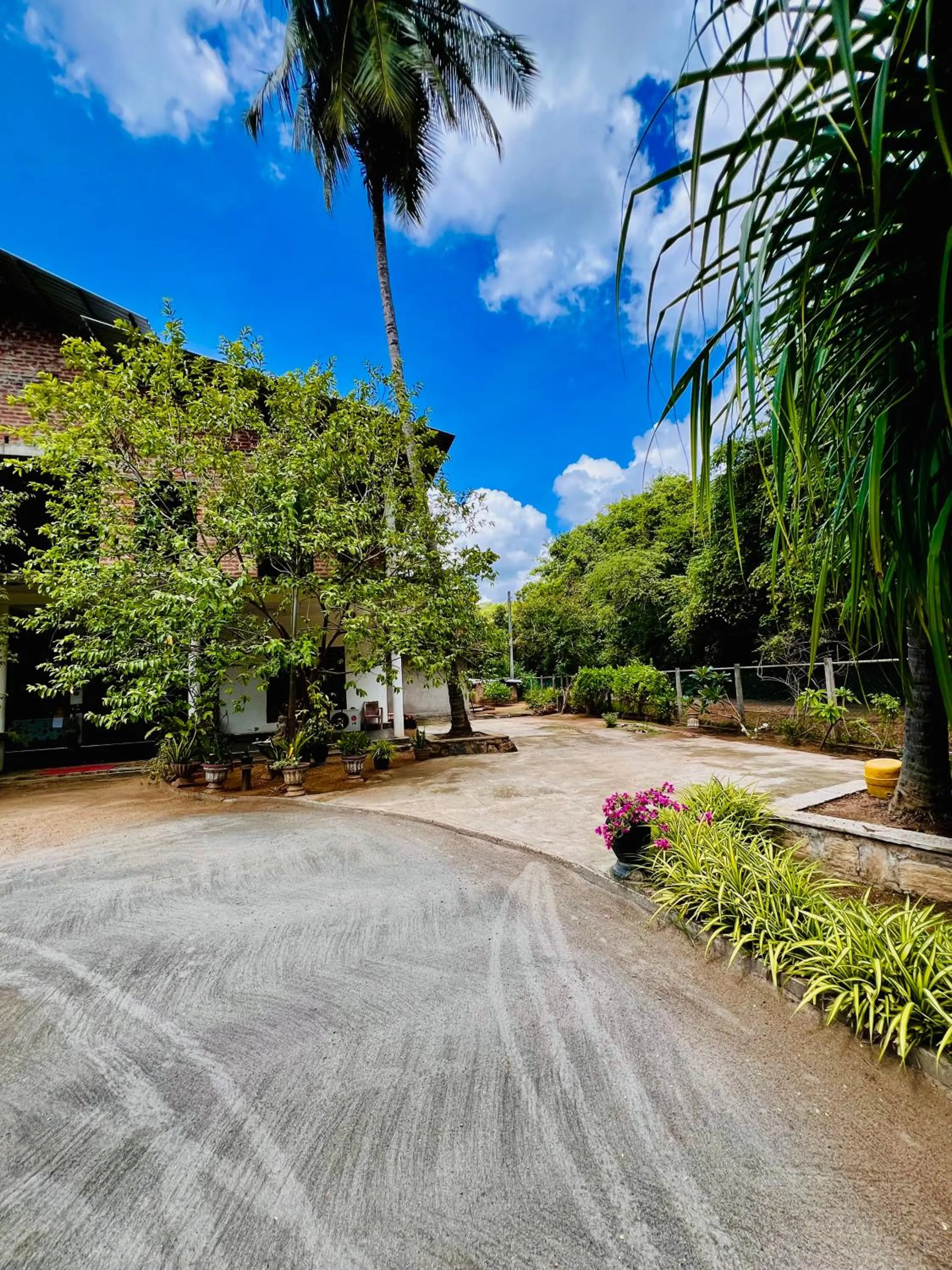 Property building in Monkey Garden Hotel