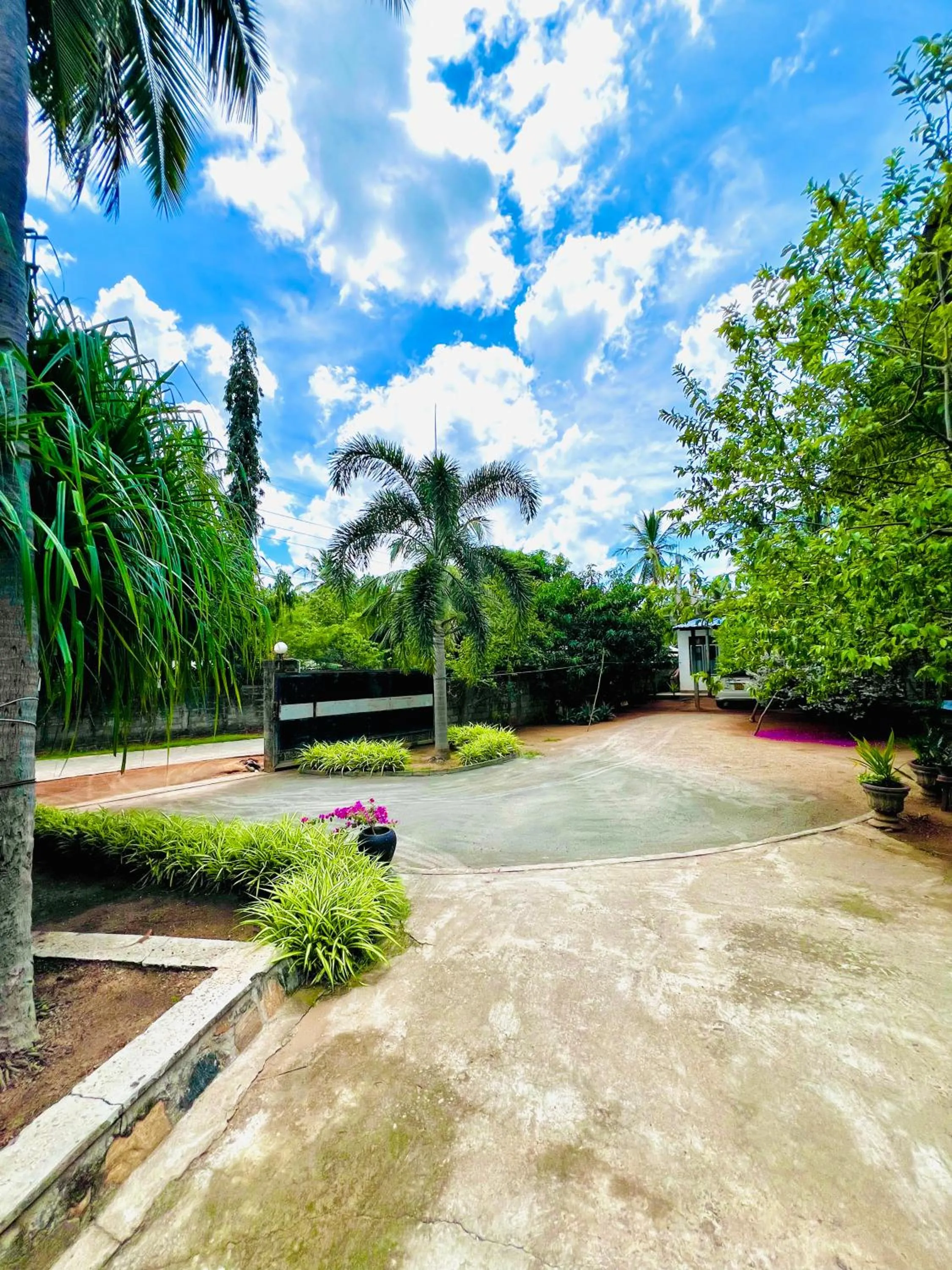Monkey Garden Hotel