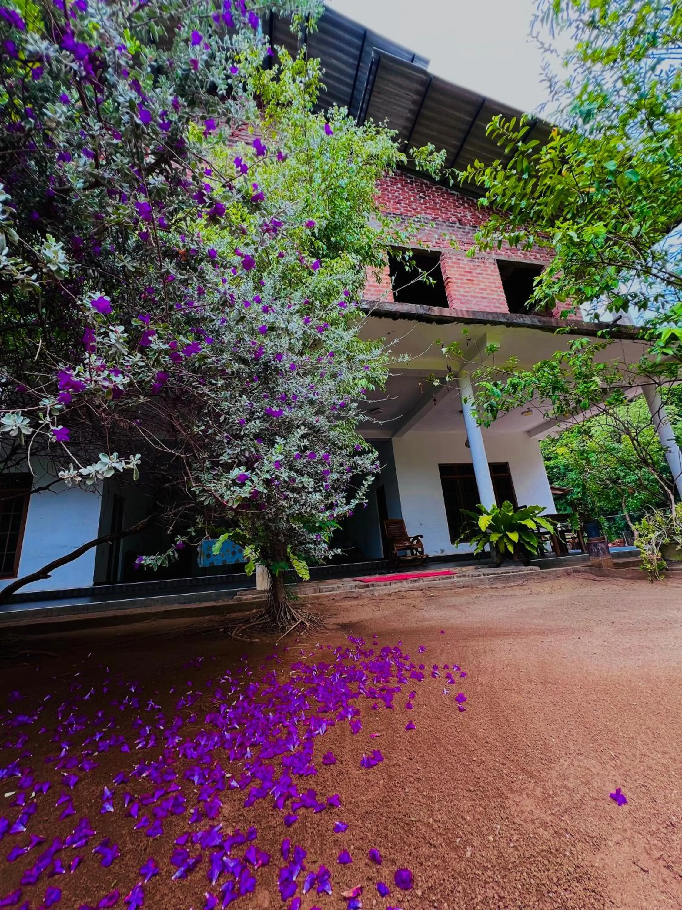 Monkey Garden Hotel