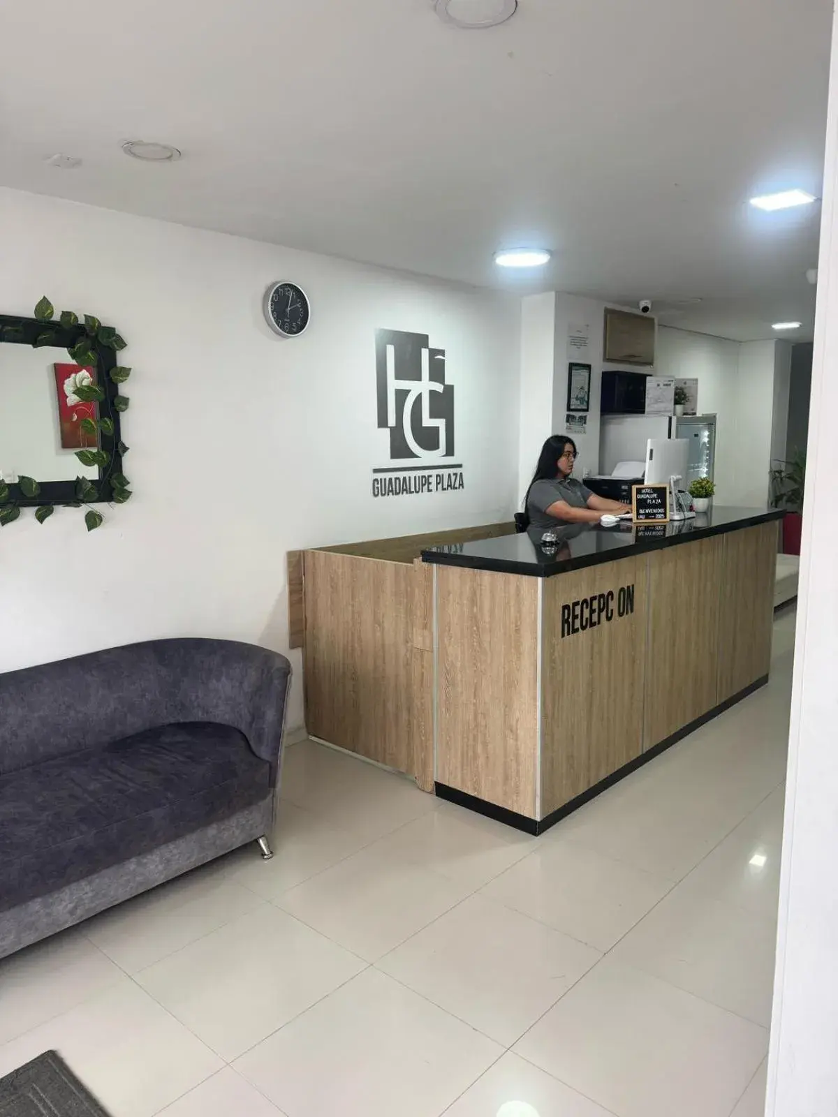 Hotel Guadalupe Plaza Hotel Guadalupe Plaza