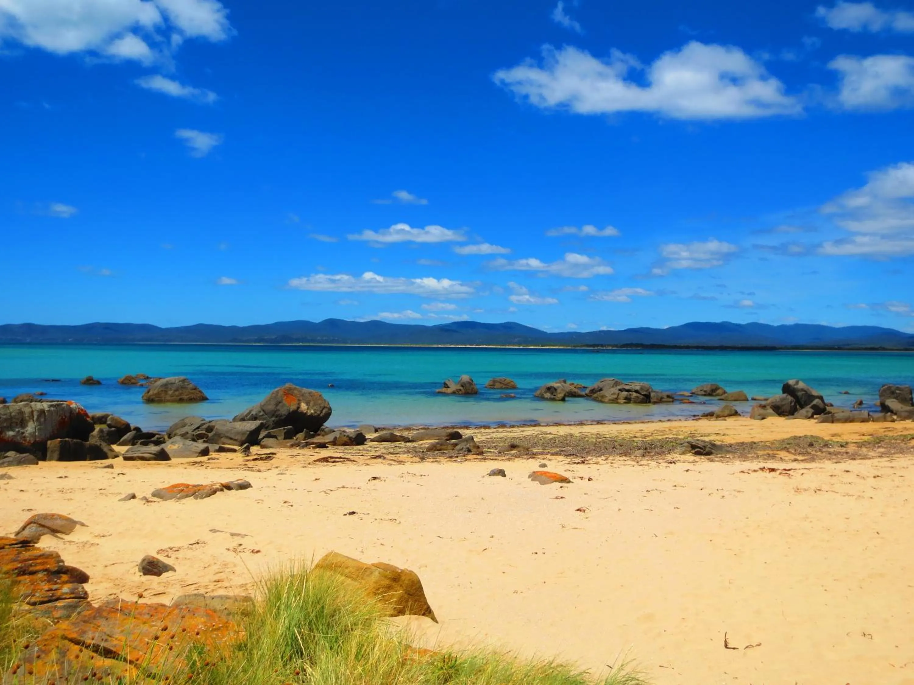 Beach in Roosters Rest