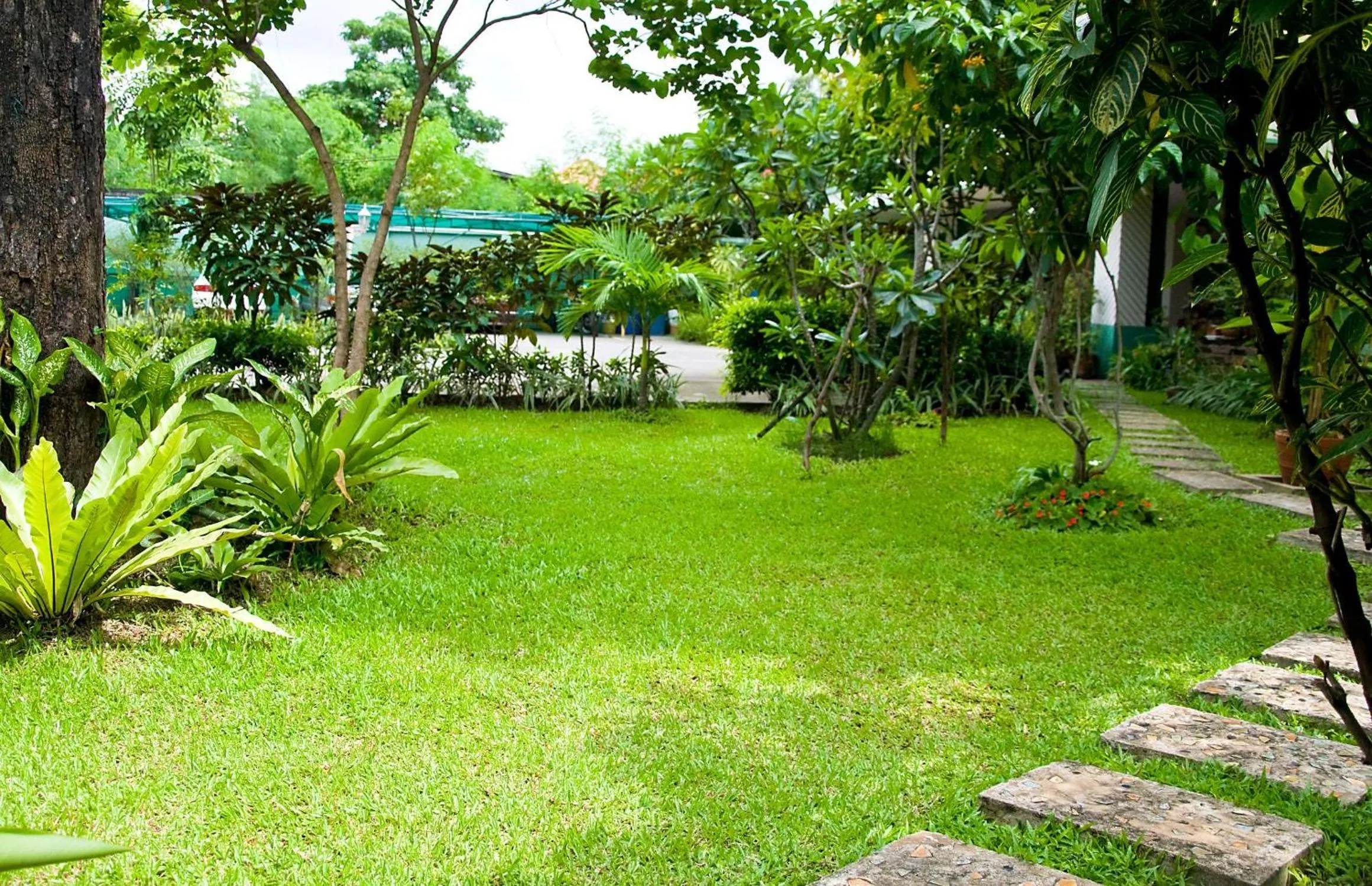 Garden in Thanaree place