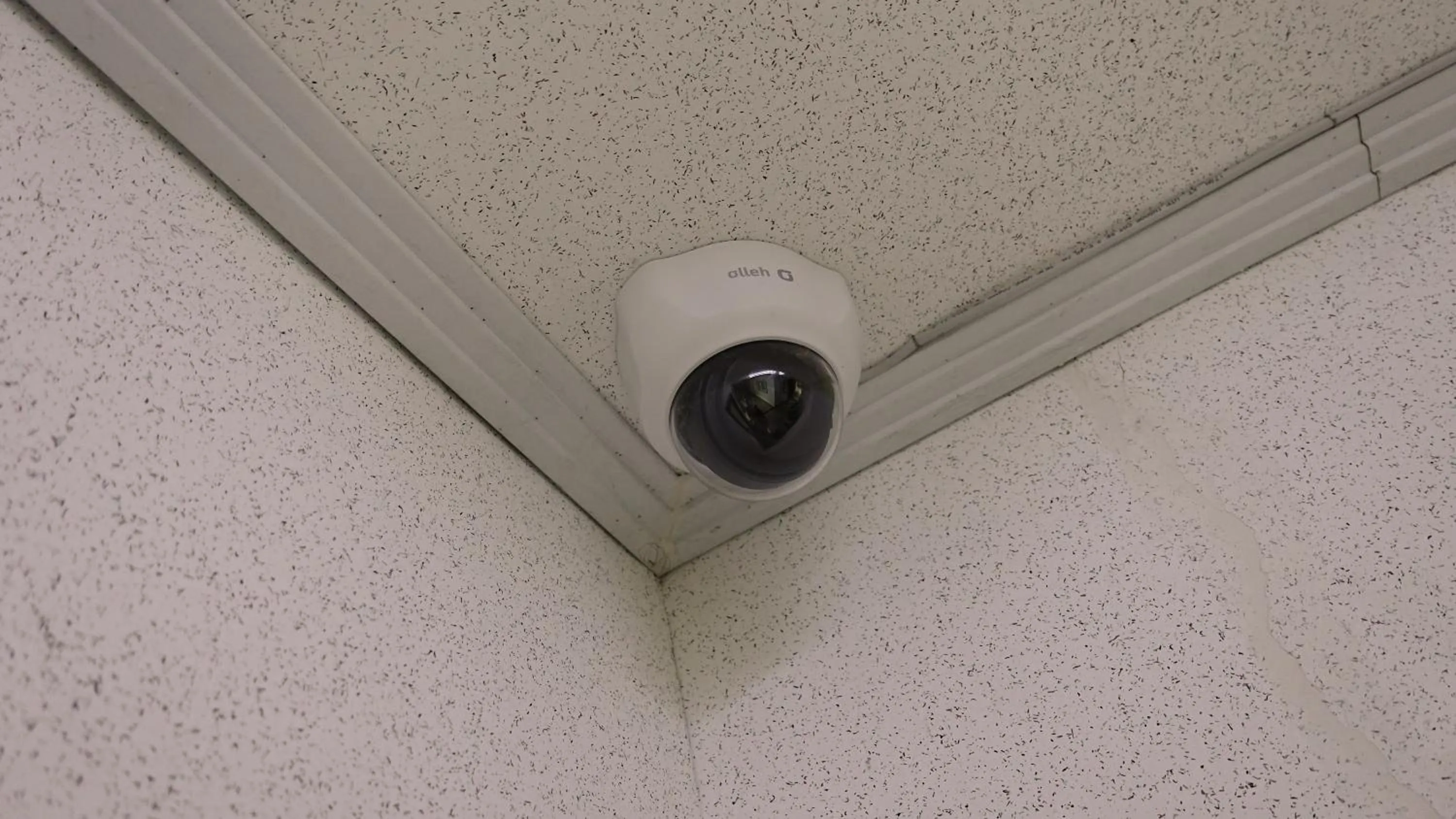 Area and facilities in Happy Memory