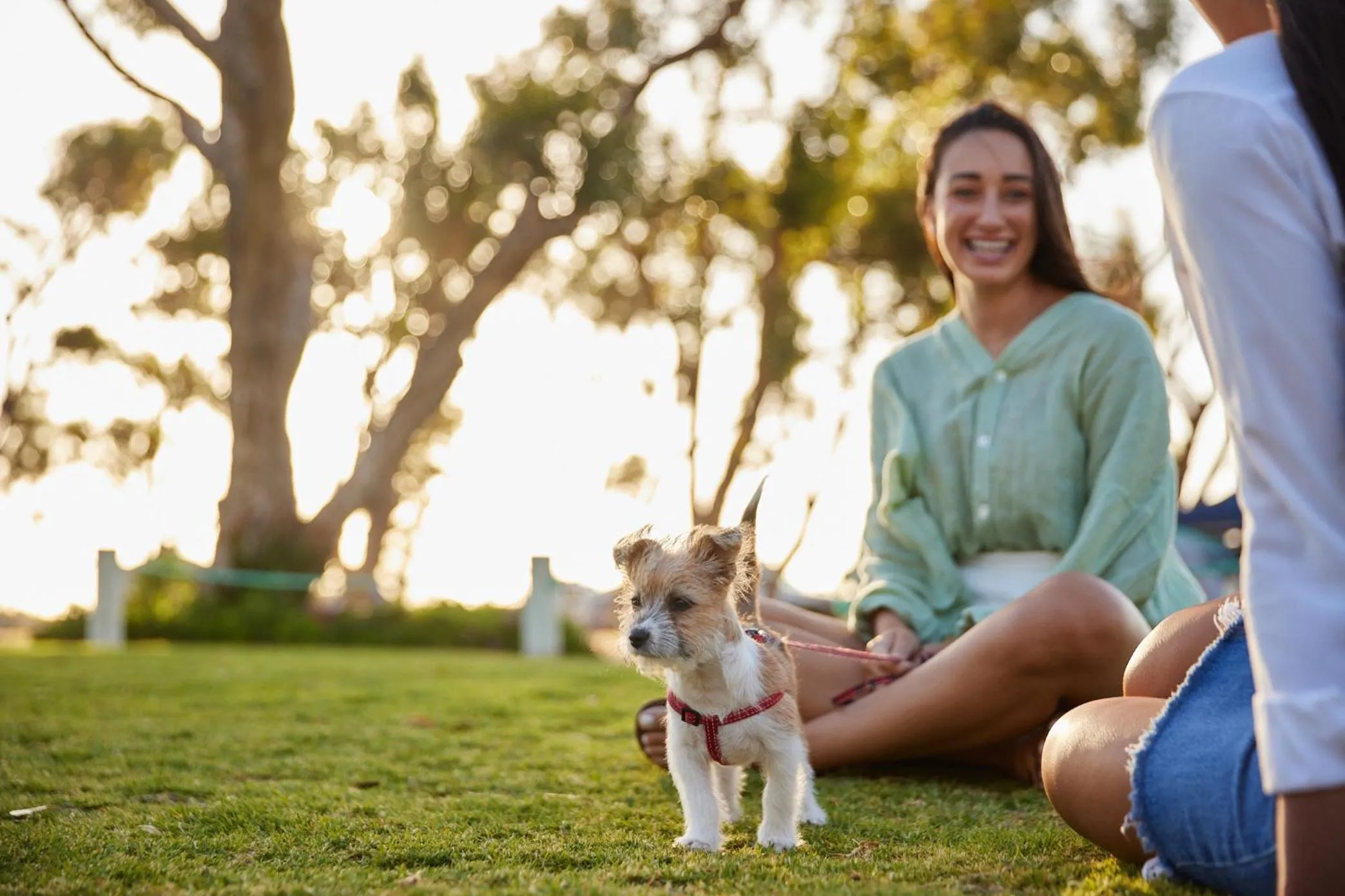 Day in RAC Cervantes Holiday Park