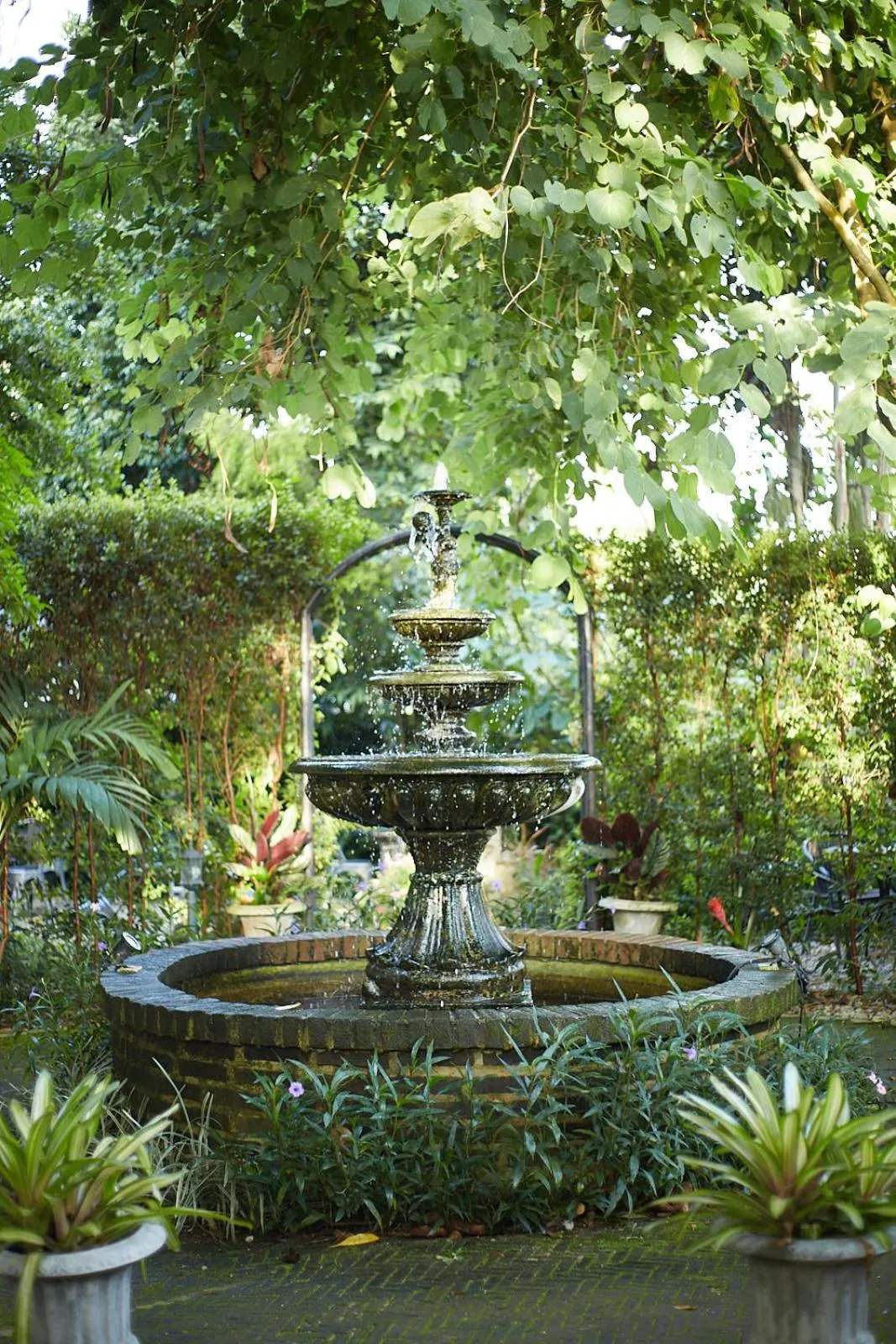 Garden in Nai Suan Bed and Breakfast