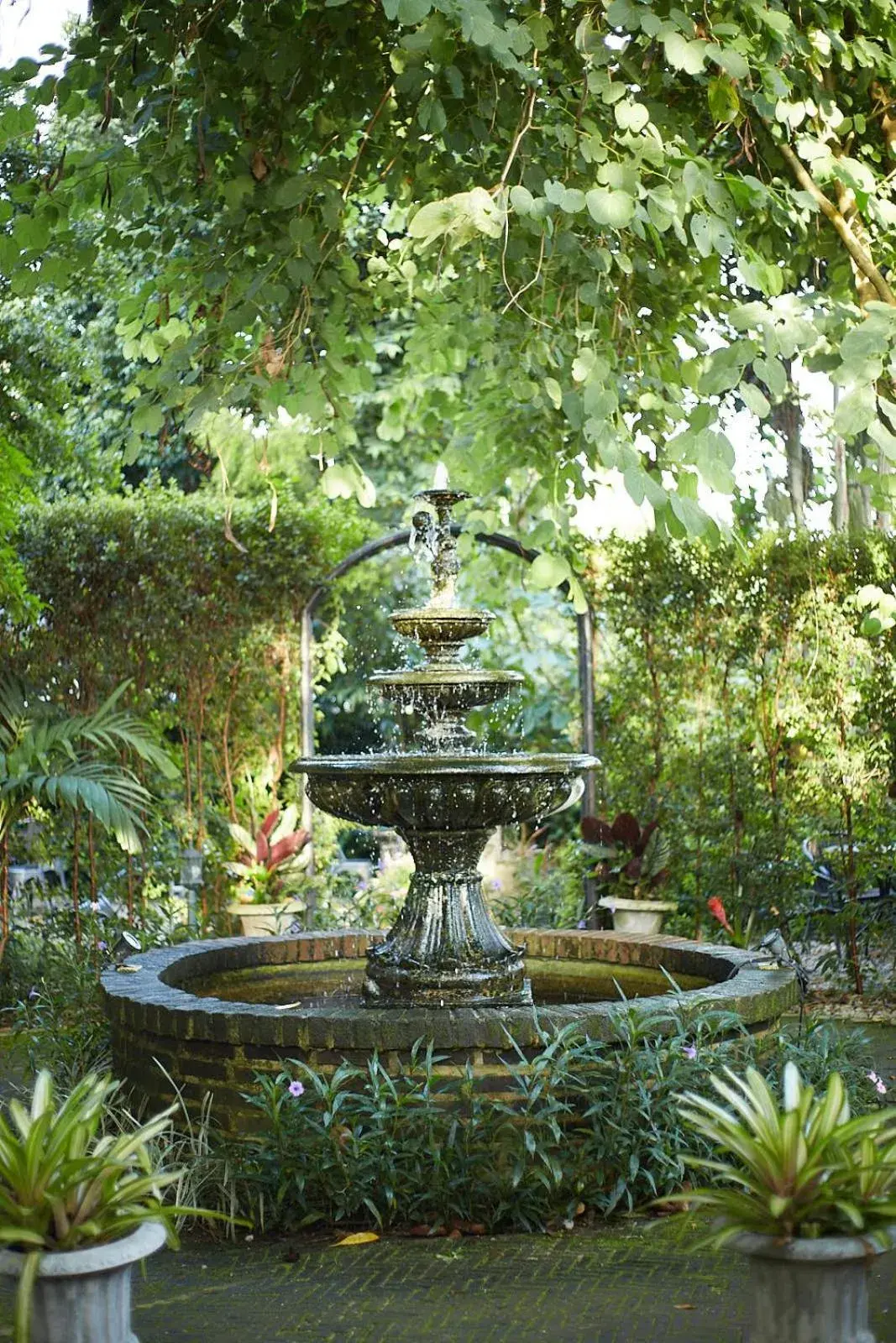 Garden in Nai Suan Bed and Breakfast Garden in Nai Suan Bed and Breakfast