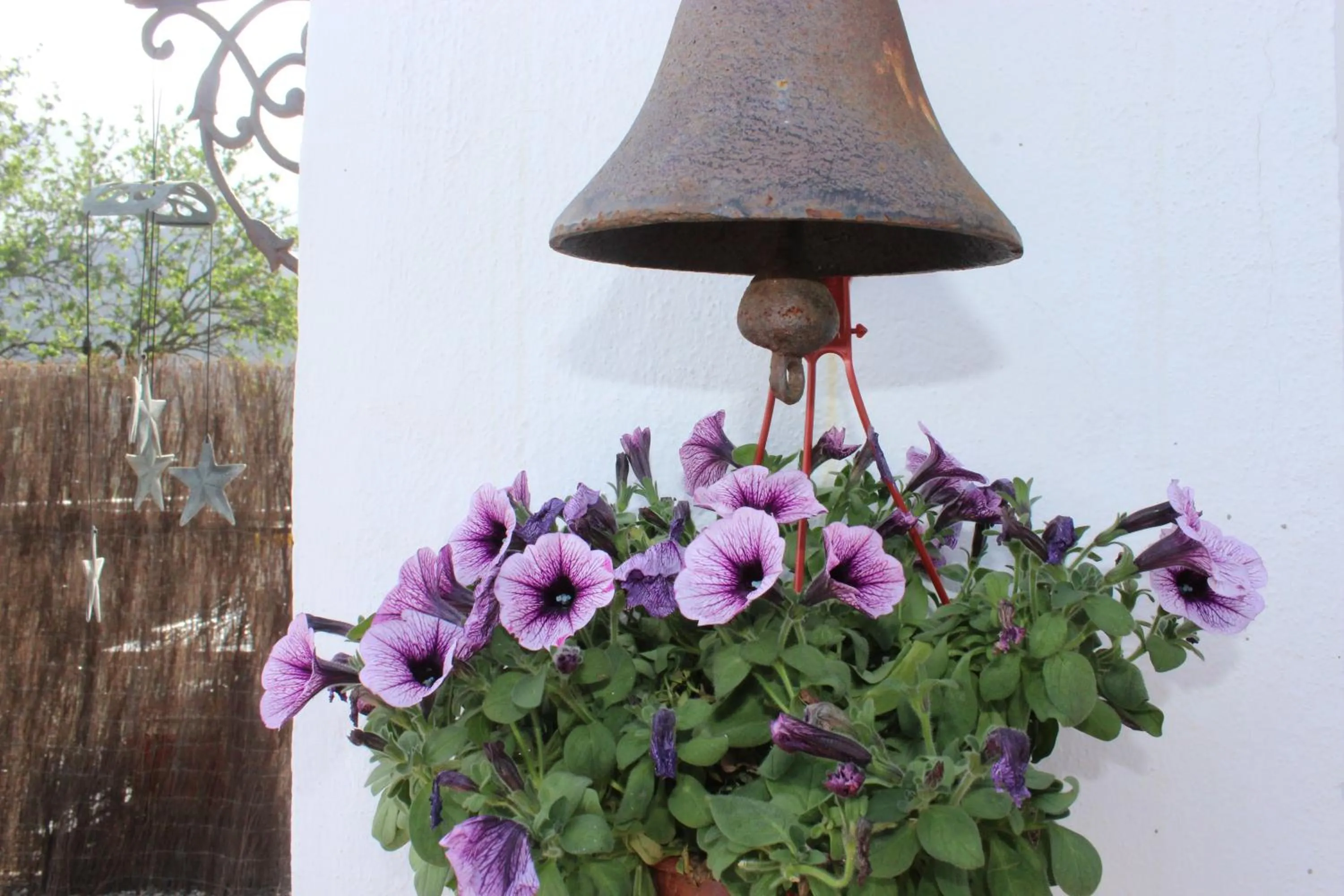 Other in Bed And Breakfast Mirador Infinito