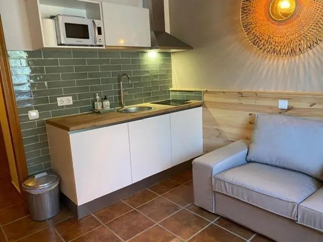 Kitchen or kitchenette in Bed And Breakfast Mirador Infinito