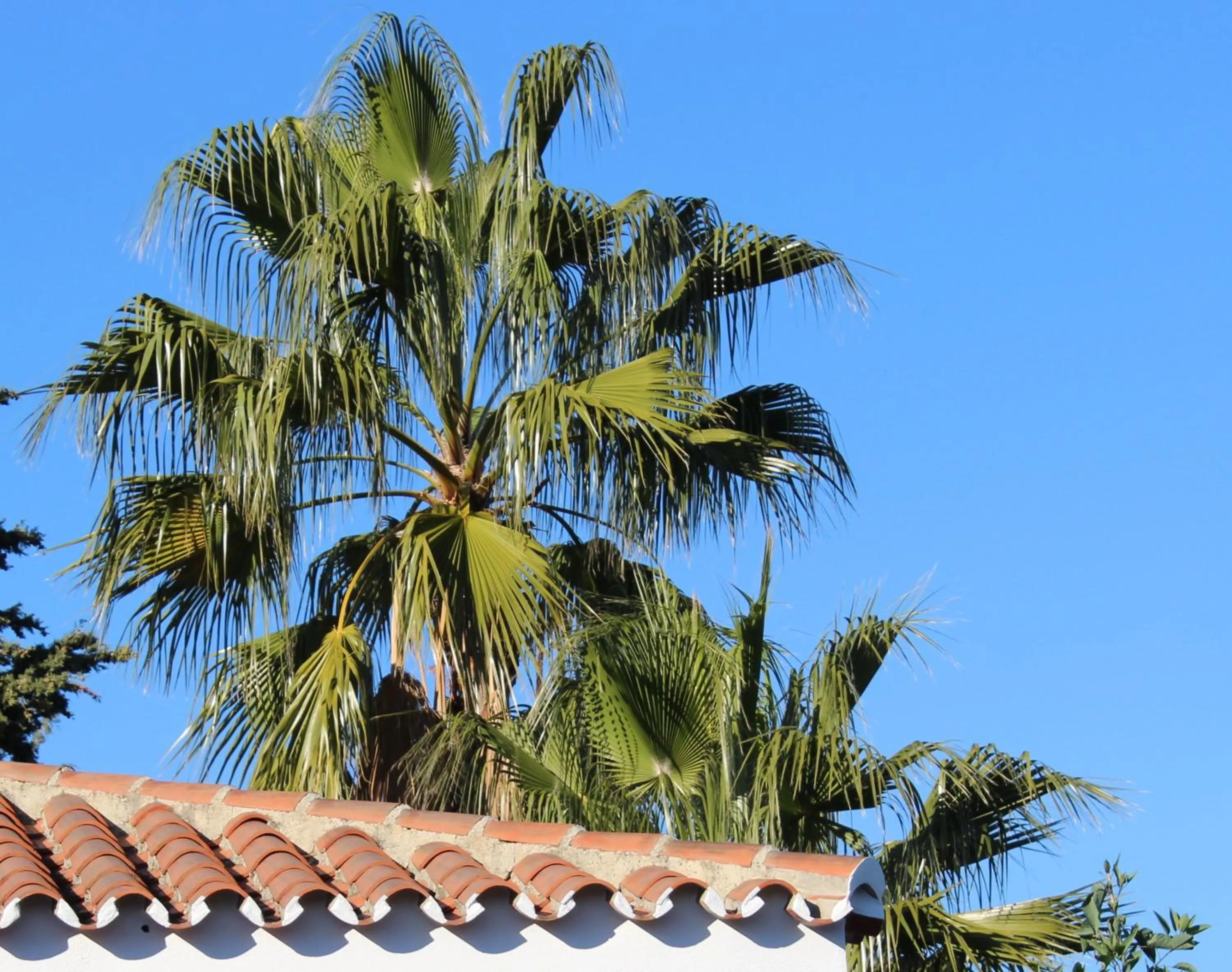 Garden view in Bed And Breakfast Mirador Infinito