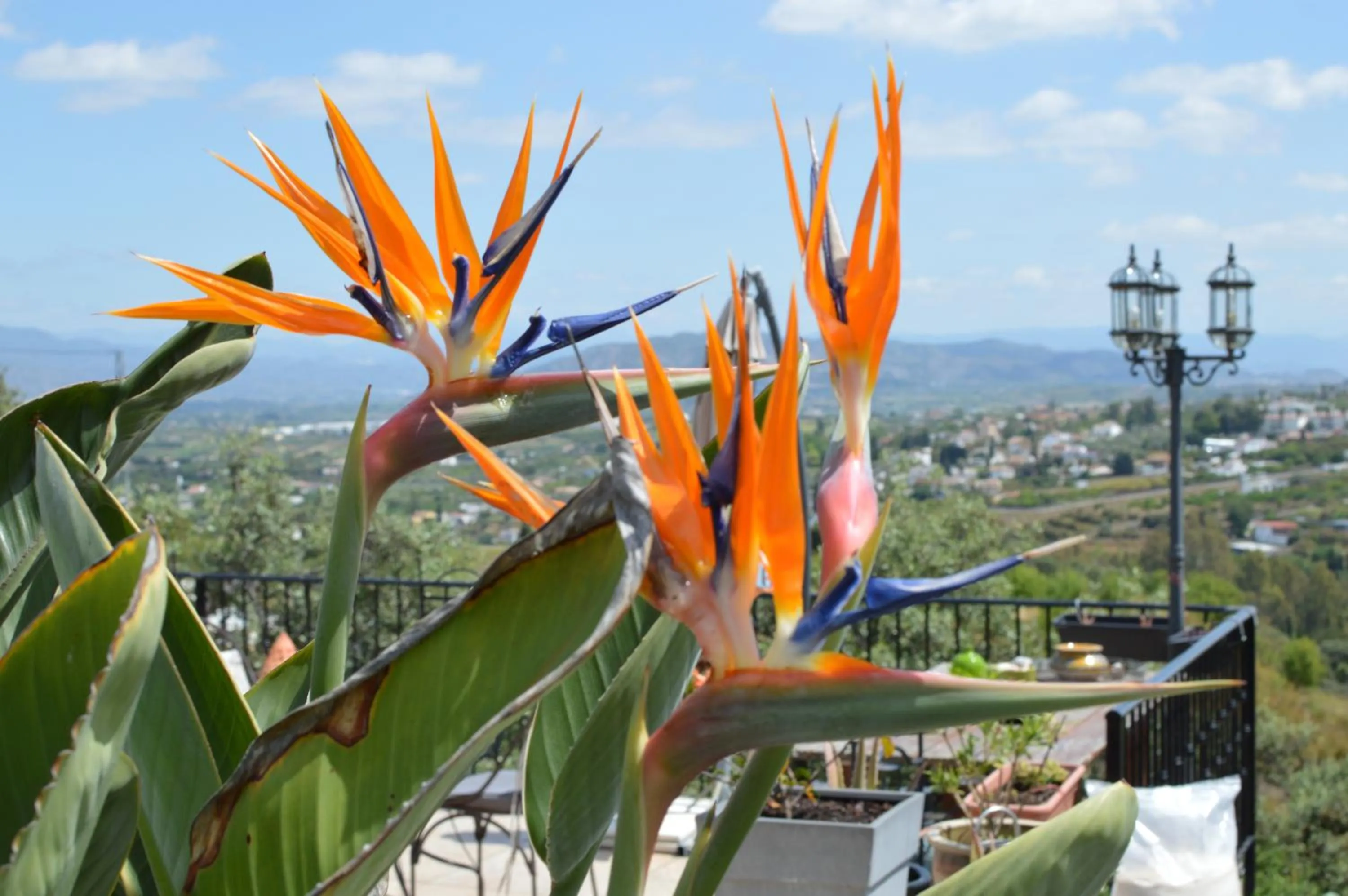Balcony/Terrace in Bed And Breakfast Mirador Infinito