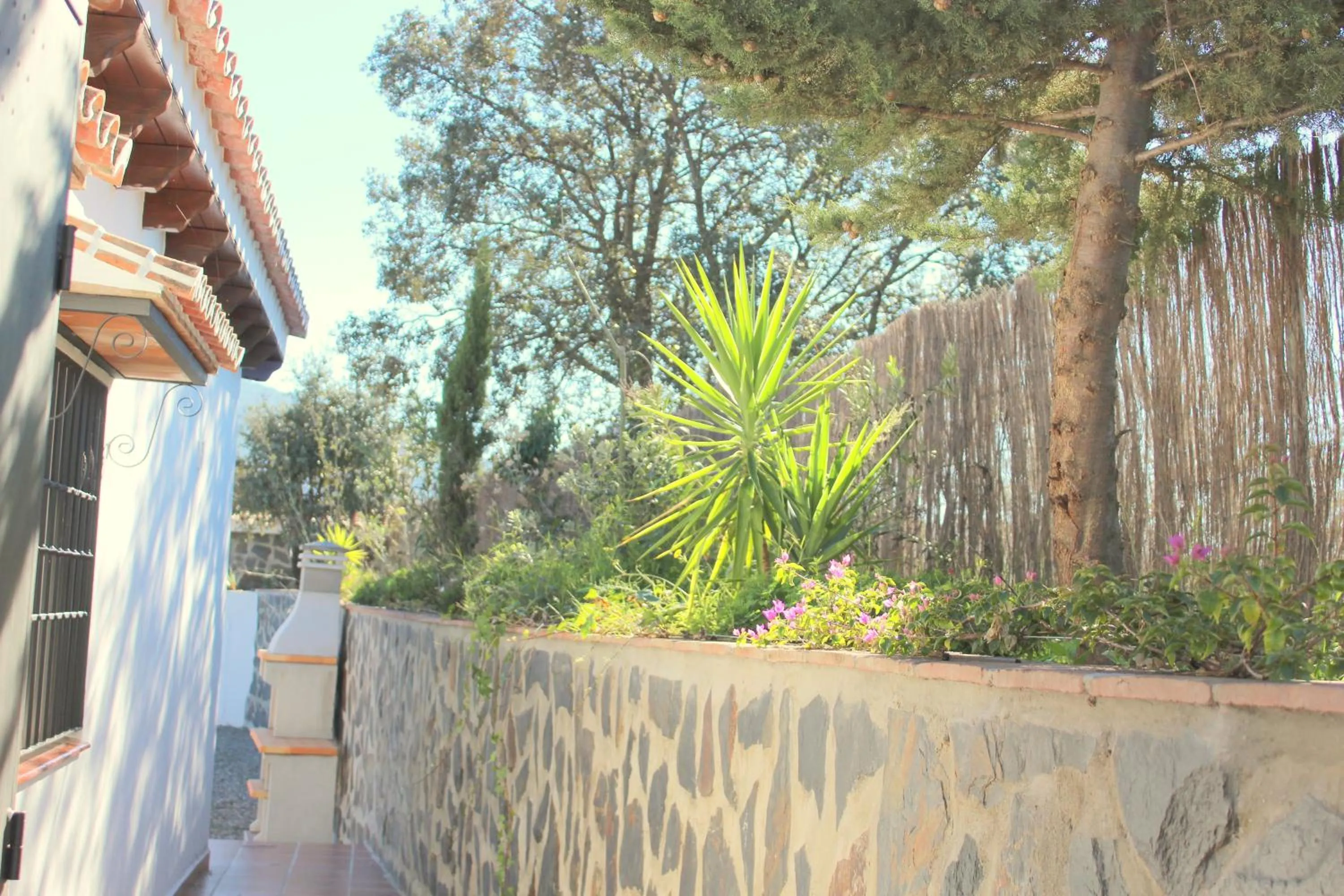 Garden in Bed And Breakfast Mirador Infinito