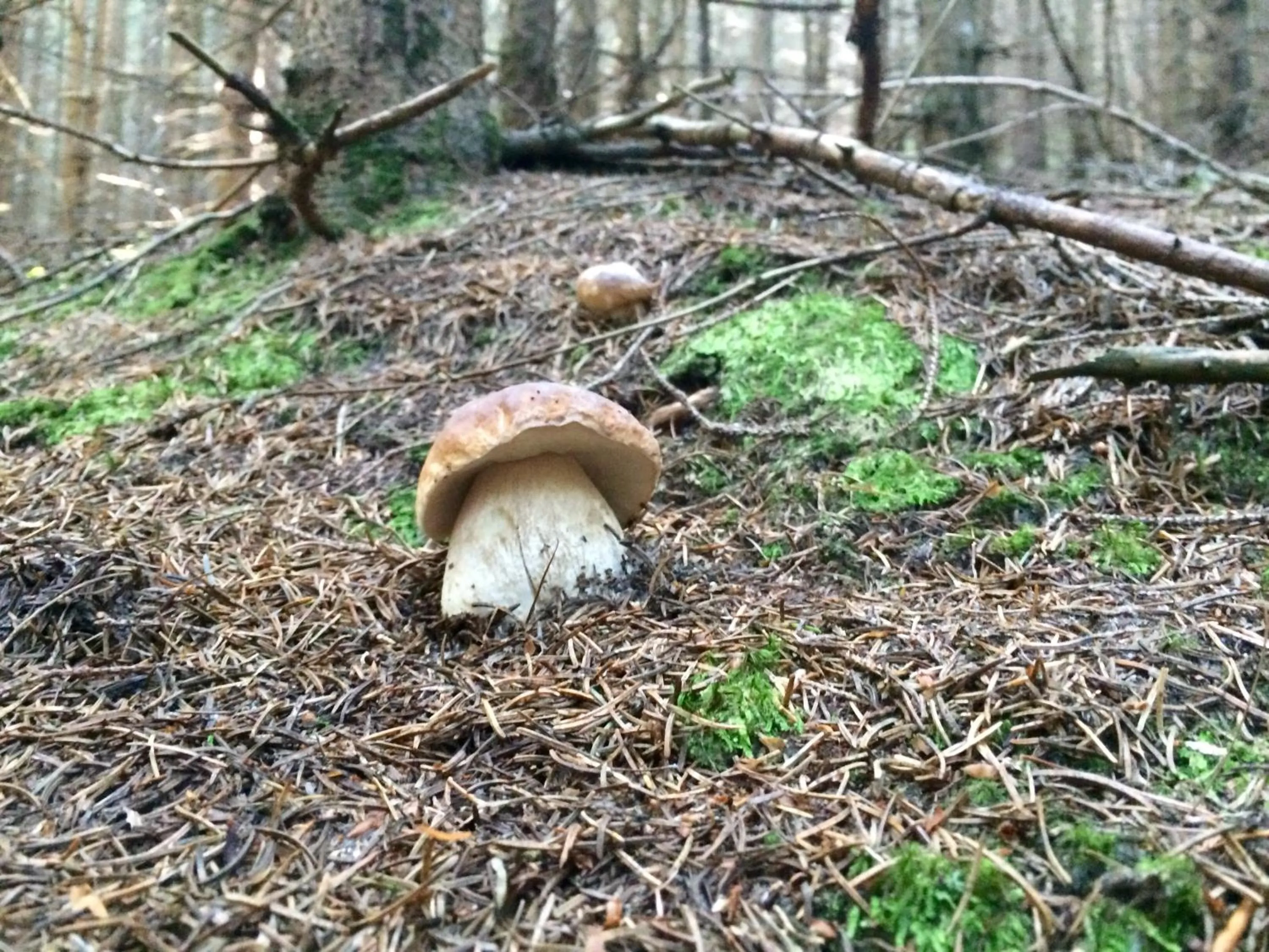 Landhotel Restaurant Hubinger