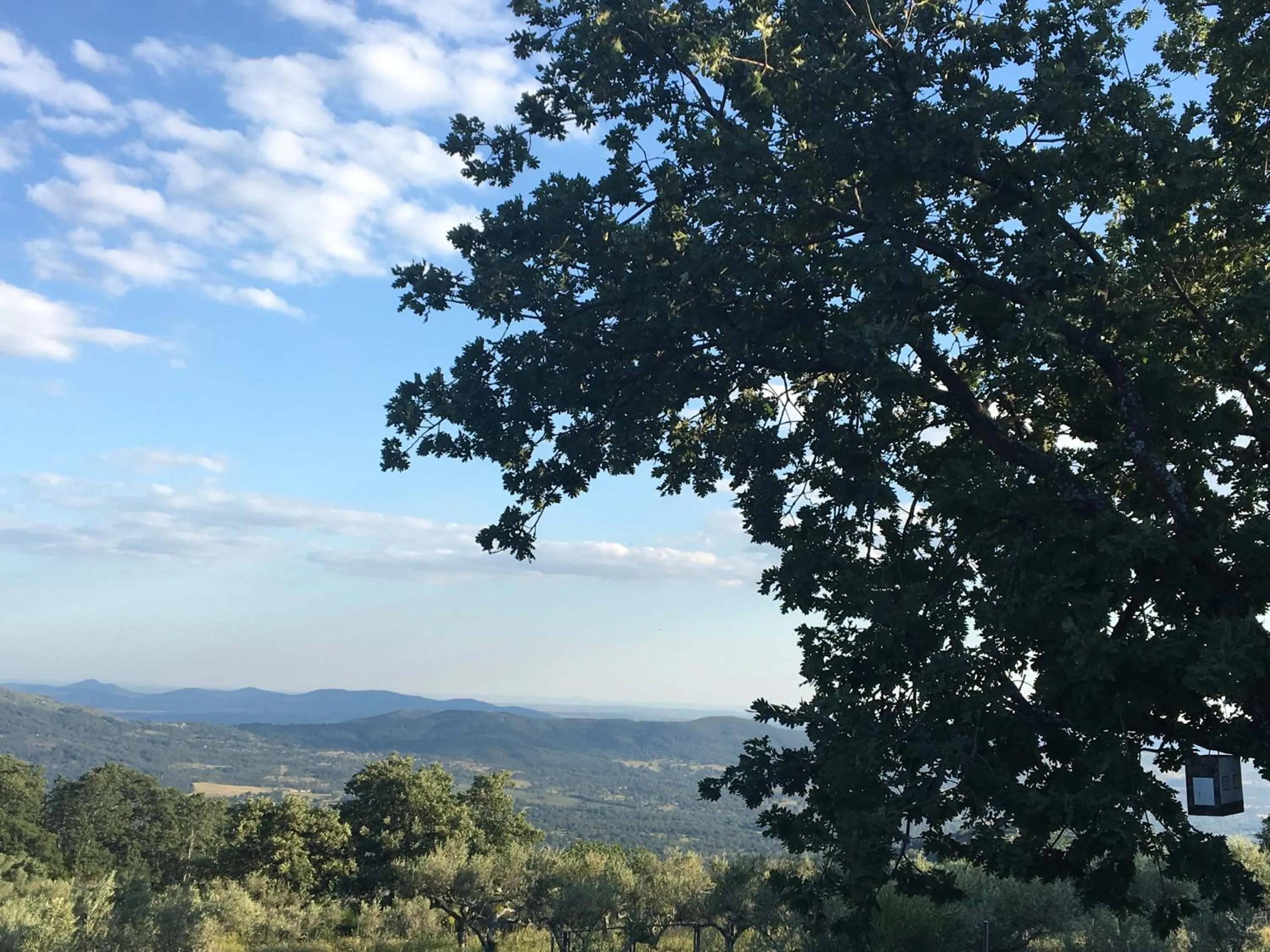 Garden view in El Sosiego