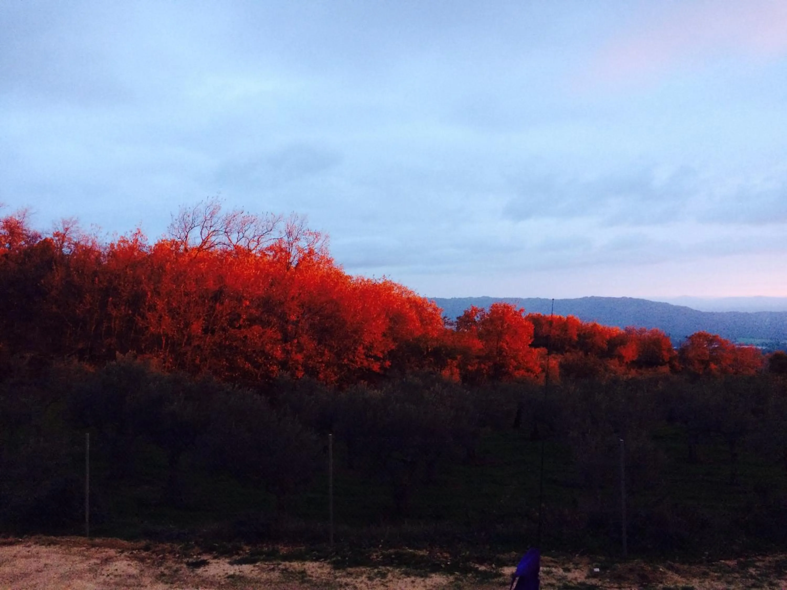 View (from property/room) in El Sosiego