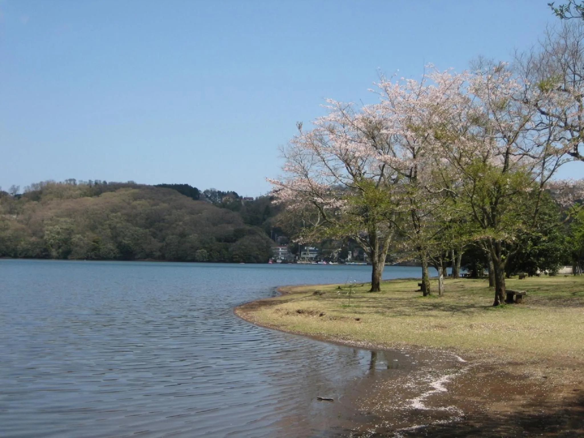 Nearby landmark in Izu Ippeki Lake Lakeside Terrace