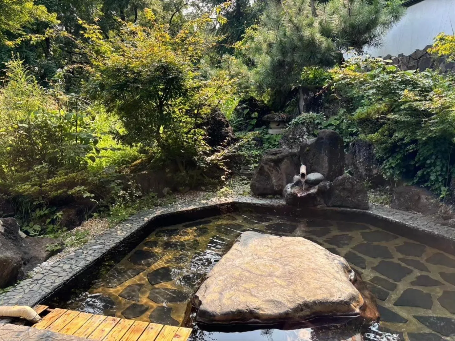 Hot Spring Bath in Kutsurogian