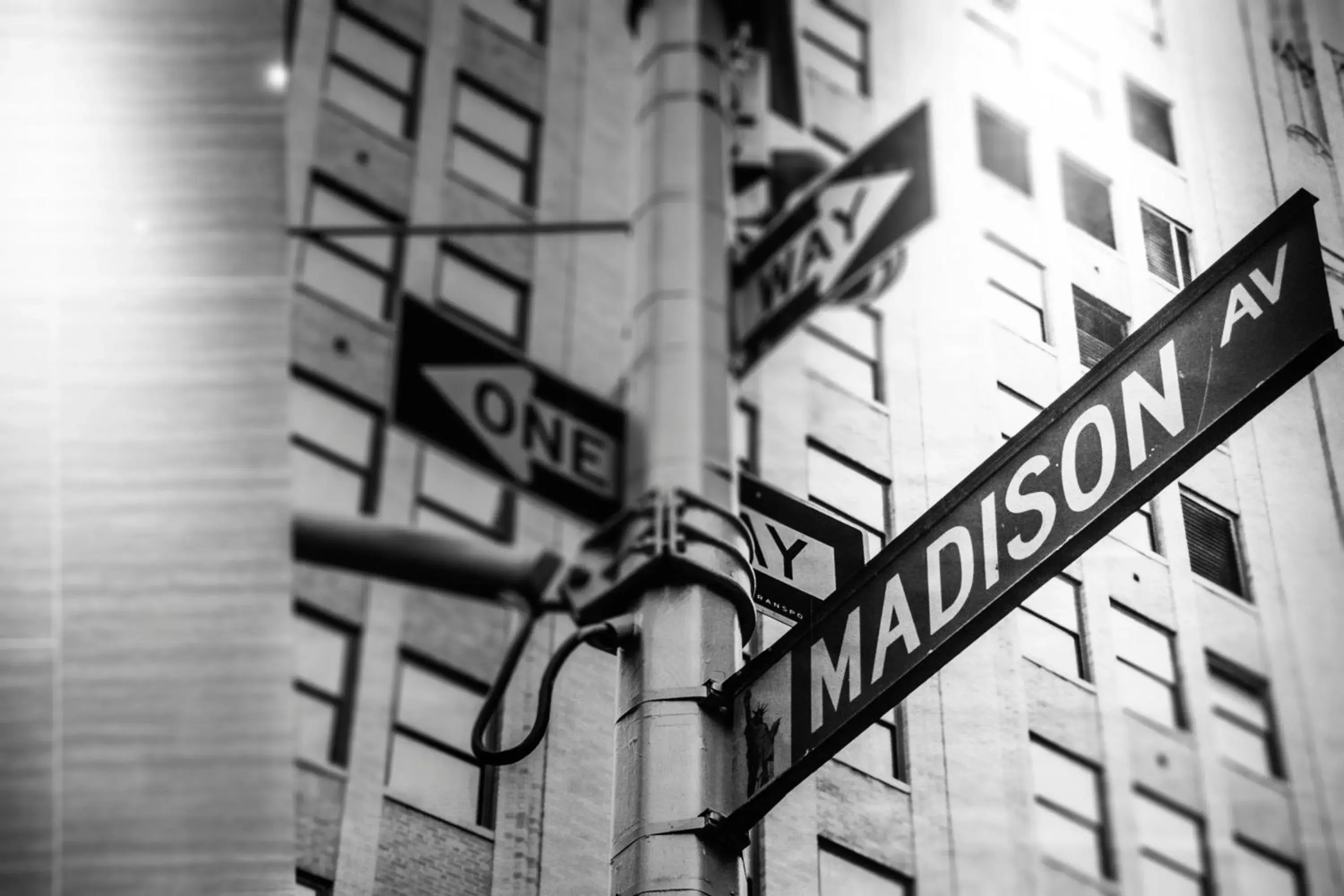 Living room in Madison 101 Hotel + Tower Living room in Madison 101 Hotel + Tower