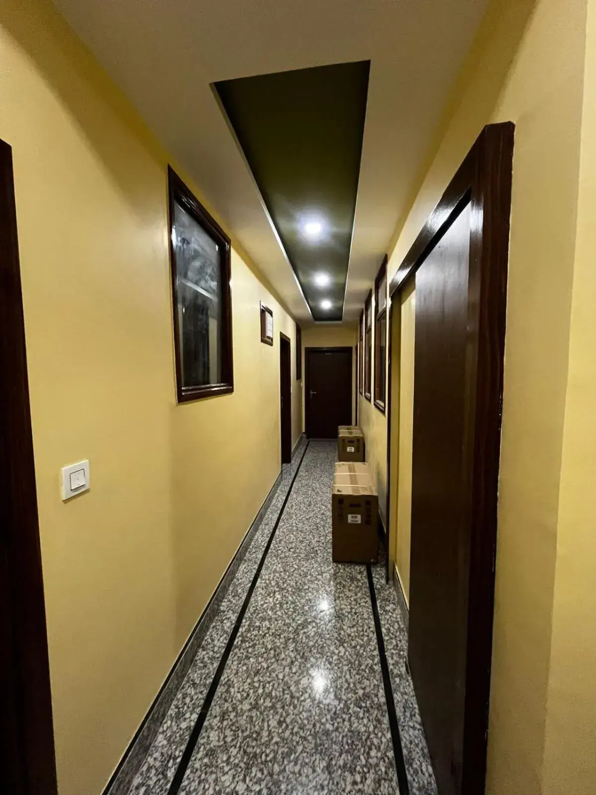 Lobby or reception in hotel babu palace Lobby or reception in hotel babu palace