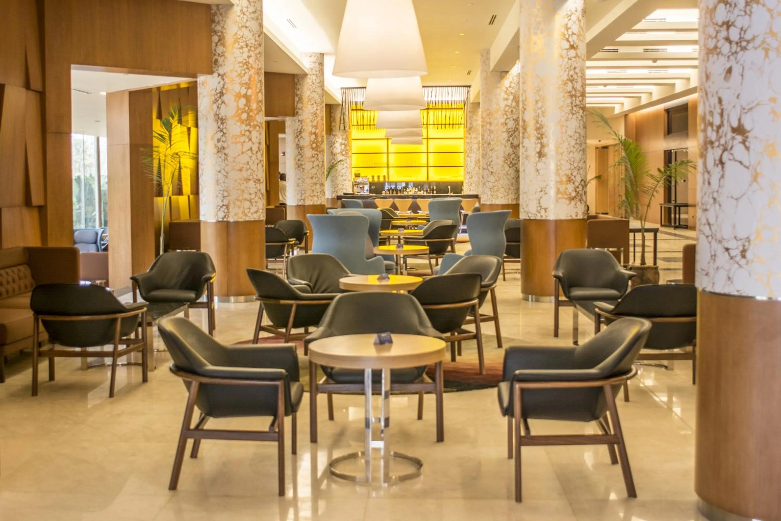 Lounge or bar in Radisson Blu M'Bamou Palace Hotel, Brazzaville