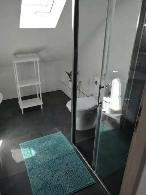 Toilet in Arapartman