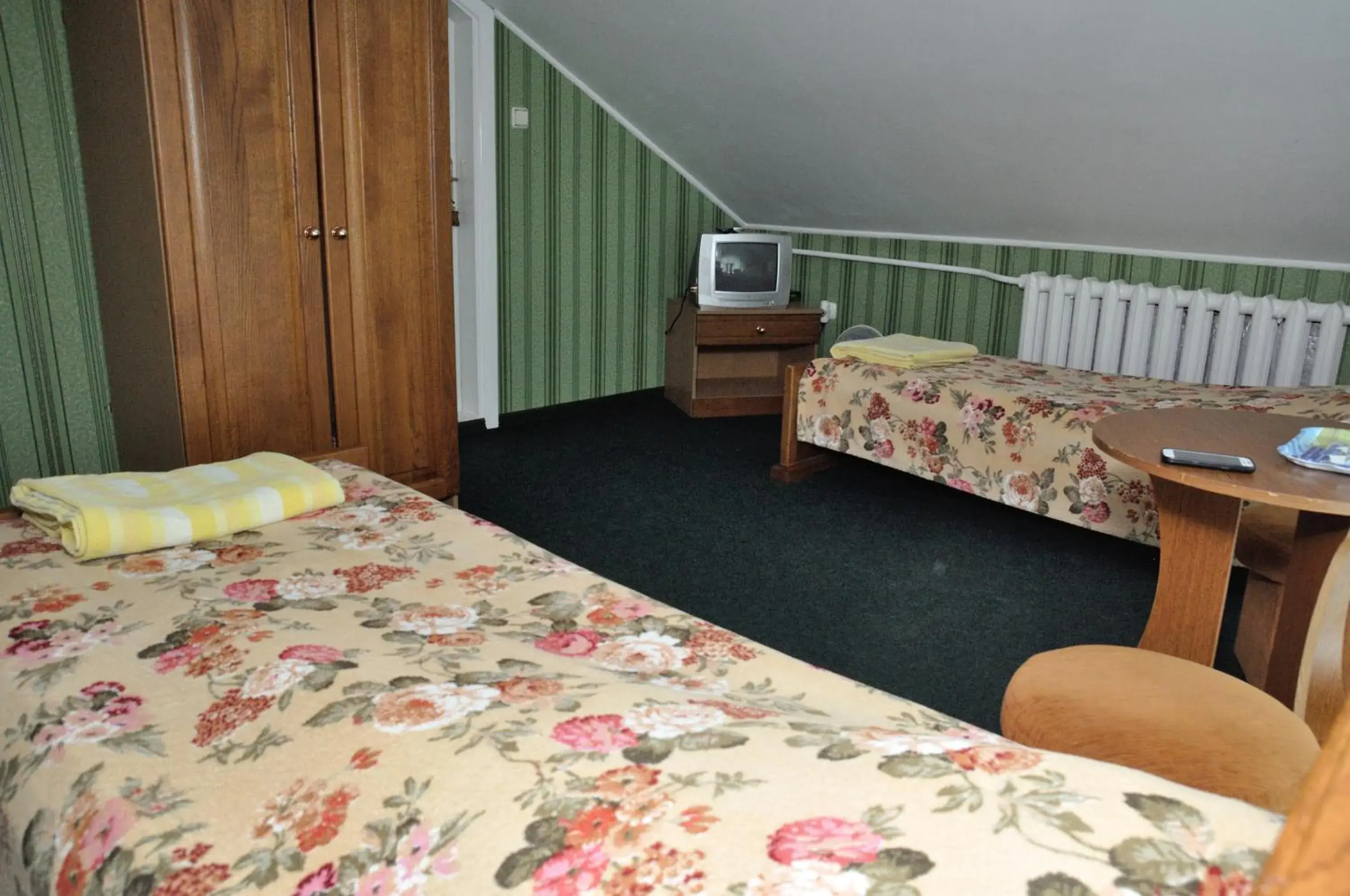 Budget Twin Room in Zolota Pidkova Budget Twin Room in Zolota Pidkova