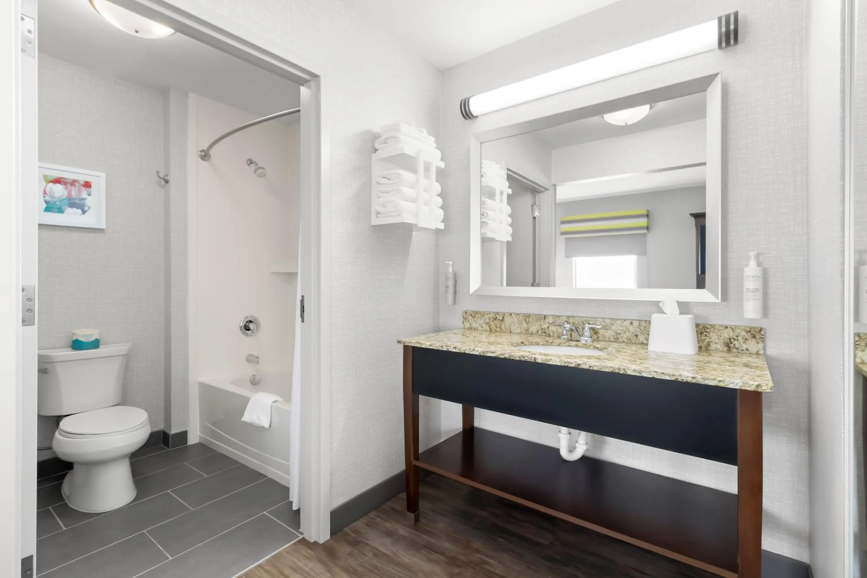 Bathroom in Hampton Inn & Suites - Hartsville, SC