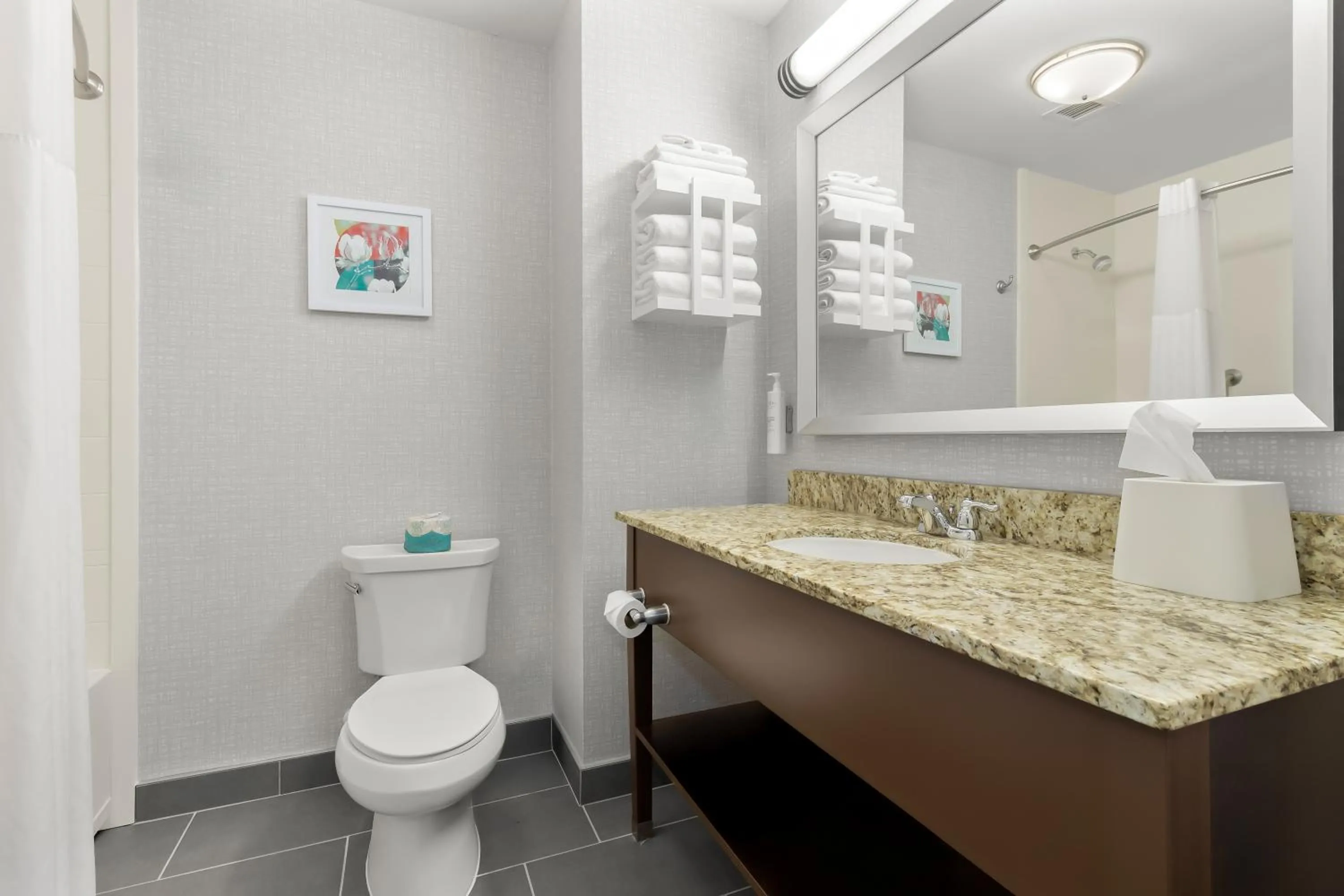 Bathroom in Hampton Inn & Suites - Hartsville, SC