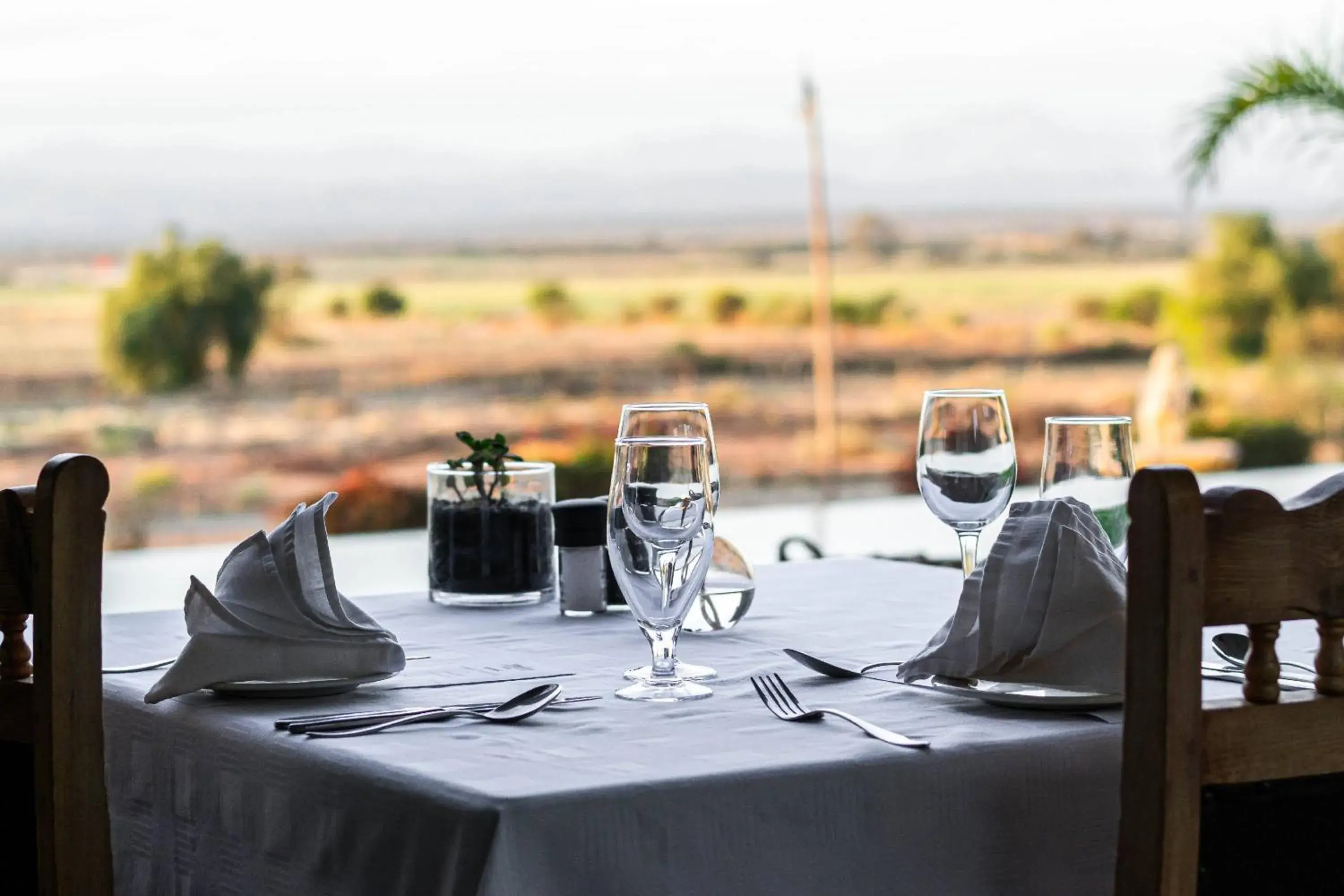 Restaurant/places to eat in Mooiplaas Guesthouse Restaurant/places to eat in Mooiplaas Guesthouse