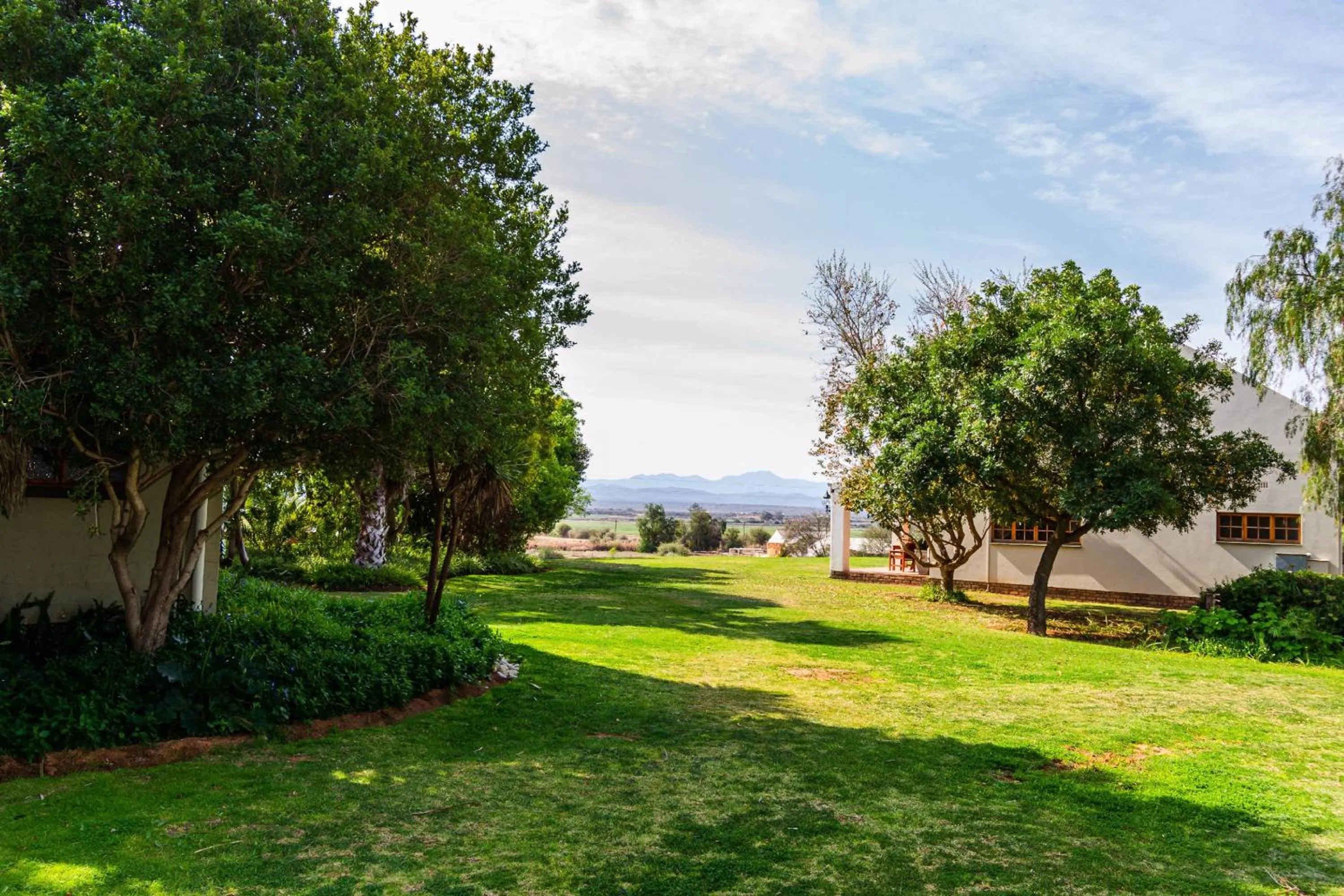 Natural landscape in Mooiplaas Guesthouse