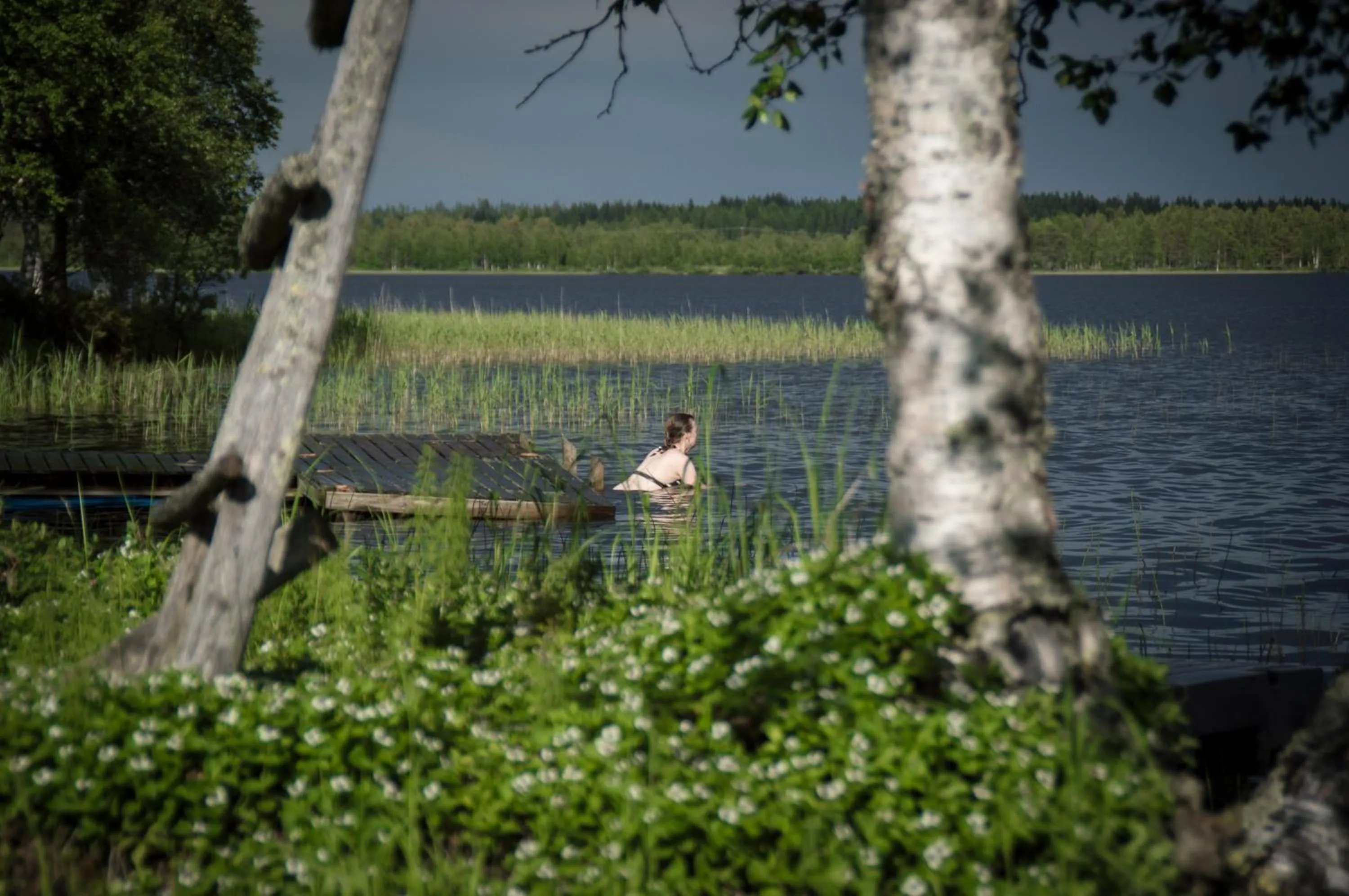Summer in Aurora Estate