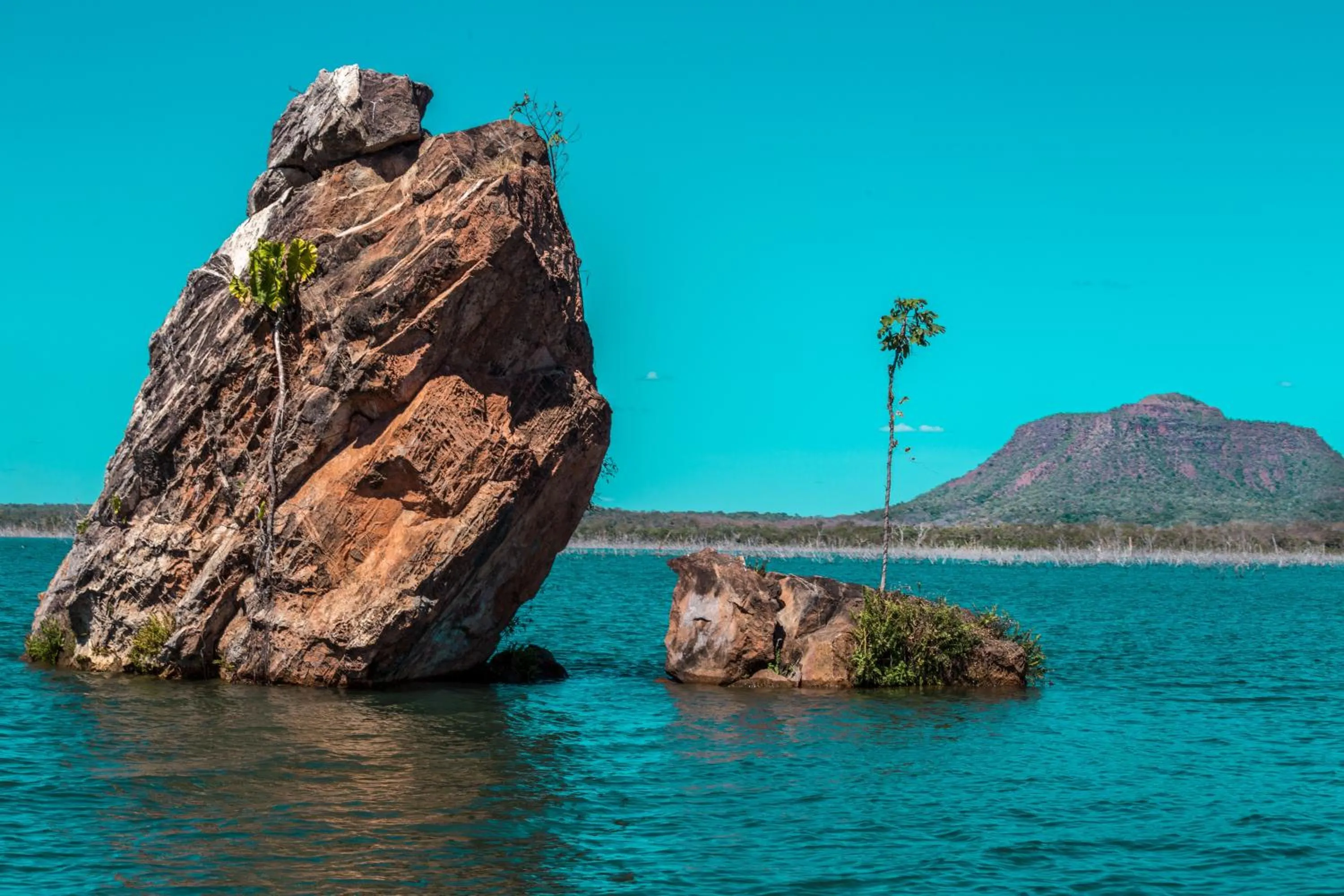 Off site in New Center Hotel