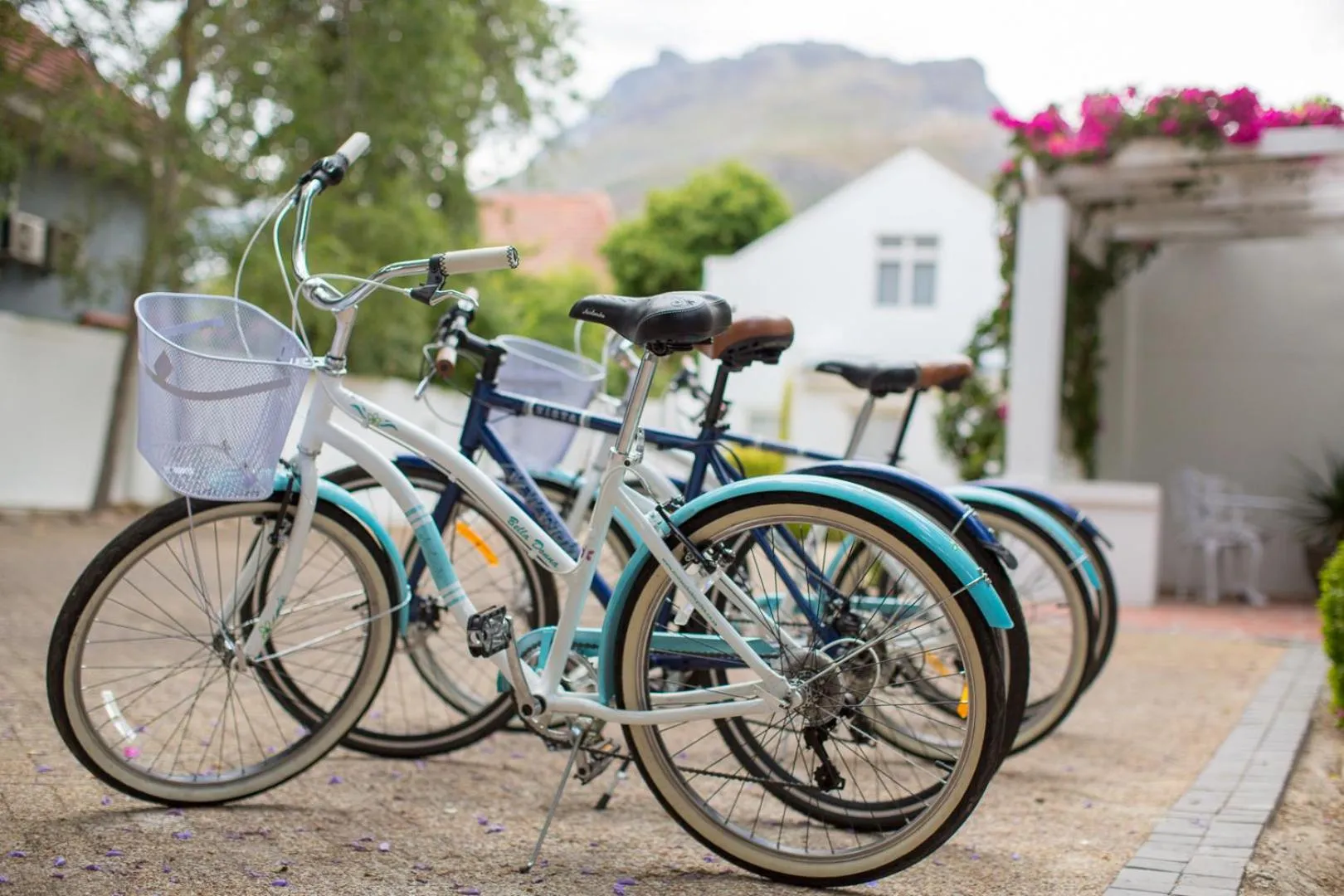 Cycling in Summerwood Guest House