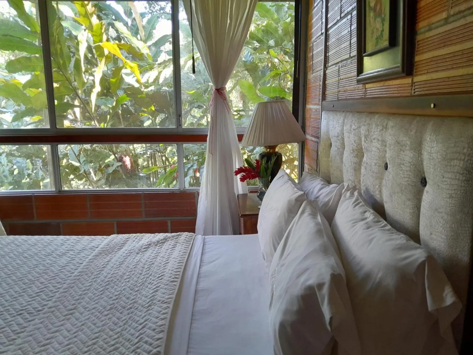 Bed in Hosteria Florecer