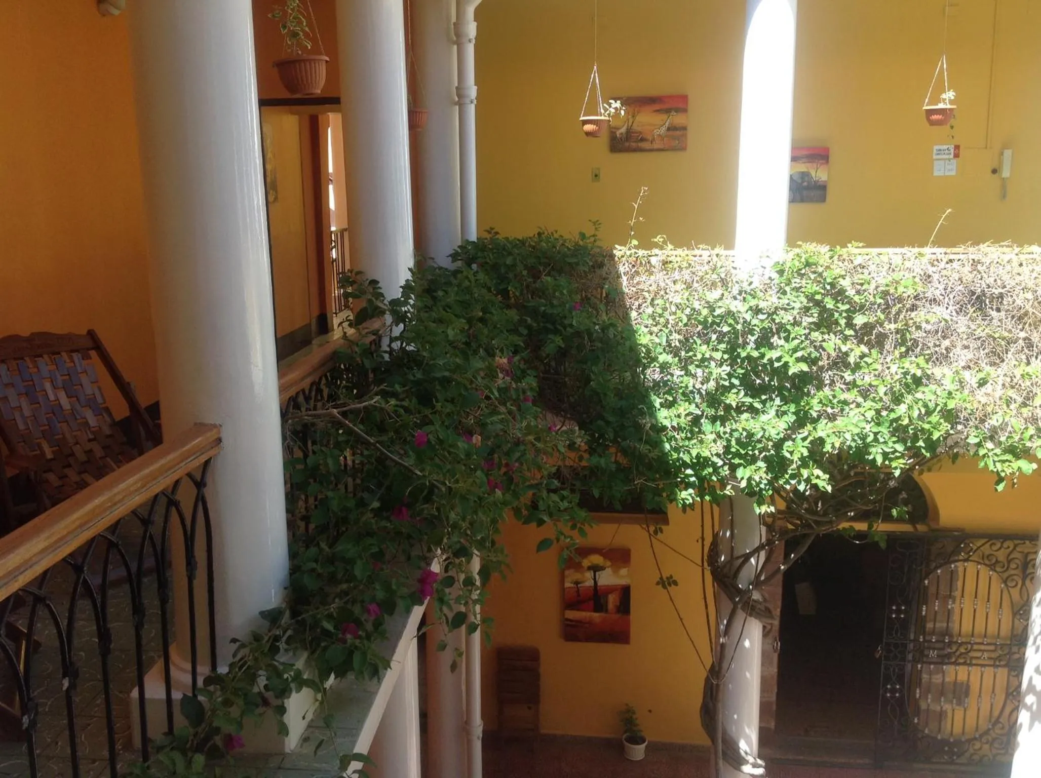 Patio in Colors House