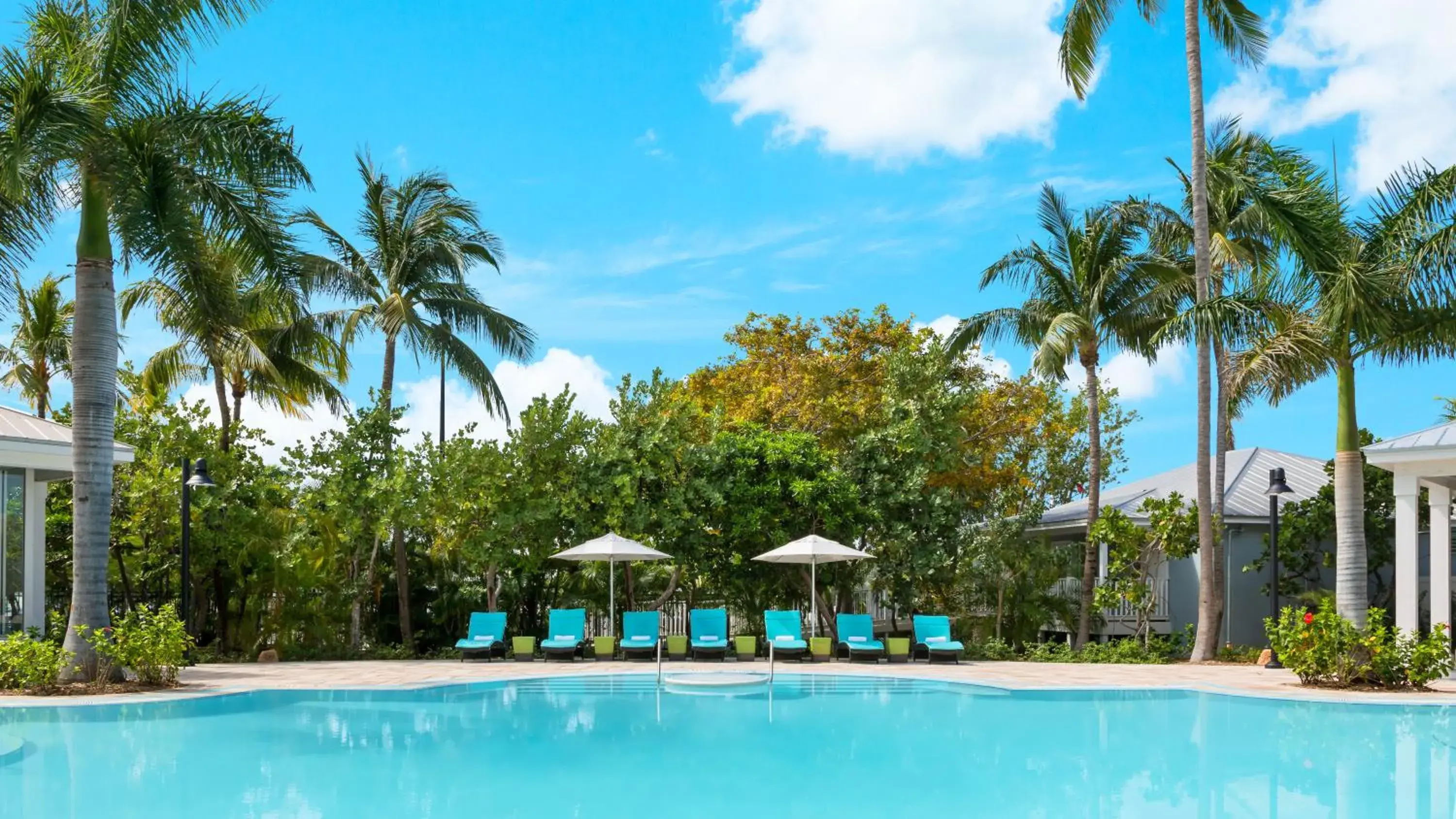 Swimming pool in Blue Flamingo Resort Key West Swimming pool in Blue Flamingo Resort Key West