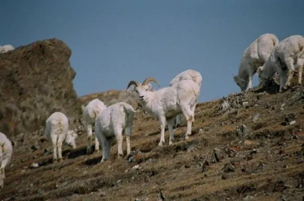 Off site in Wanderer's Inn Backpackers Hostel