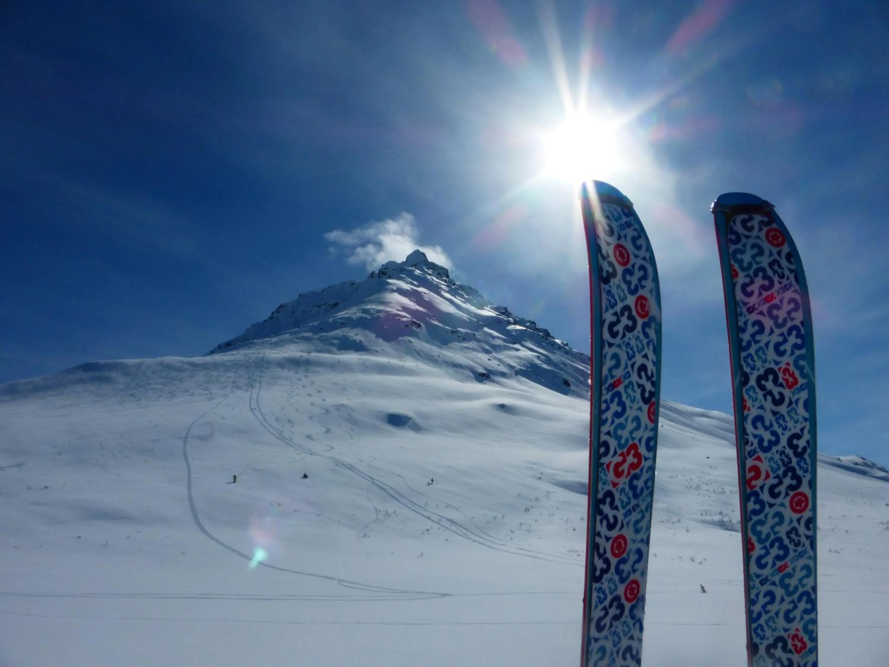 Natural landscape in Wanderer's Inn Backpackers Hostel