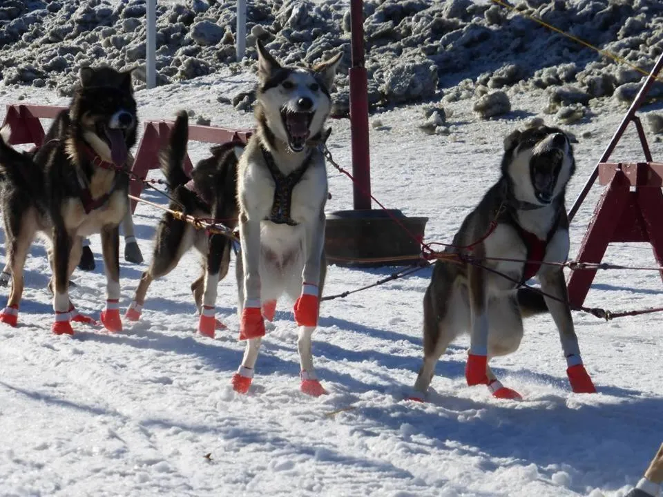Off site in Wanderer's Inn Backpackers Hostel