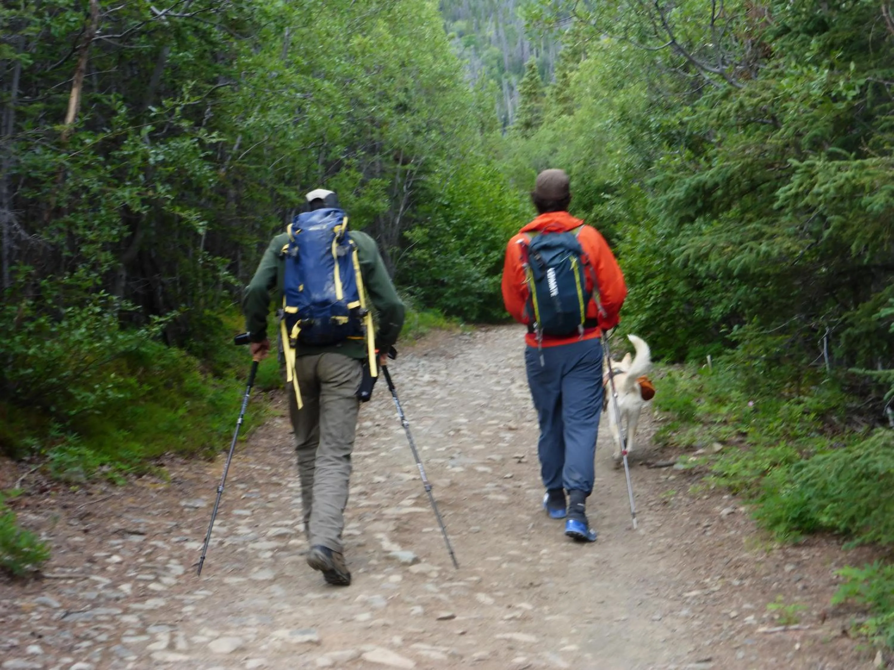 Nearby landmark in Wanderer's Inn Backpackers Hostel