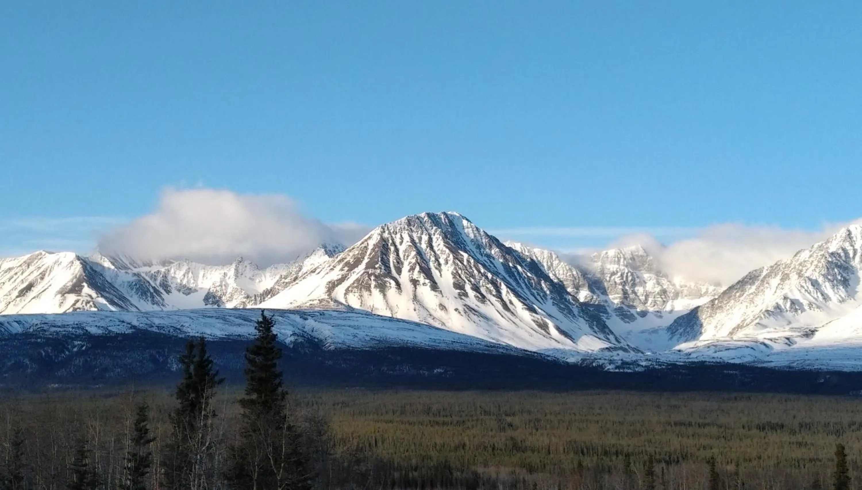 Spring in Wanderer's Inn Backpackers Hostel