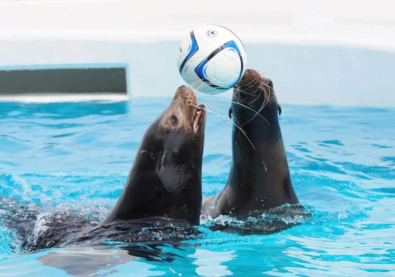 Nearby landmark in Kamogawa Grand Tower